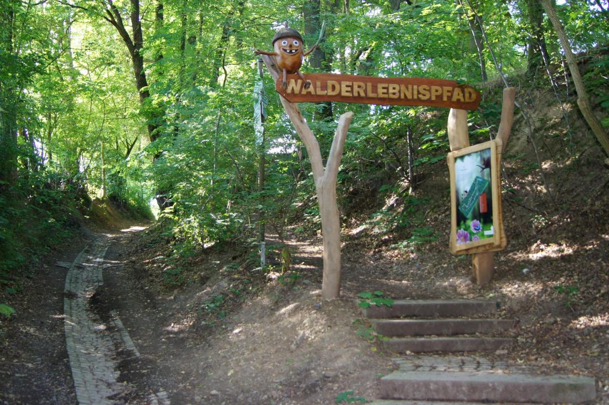children's play area