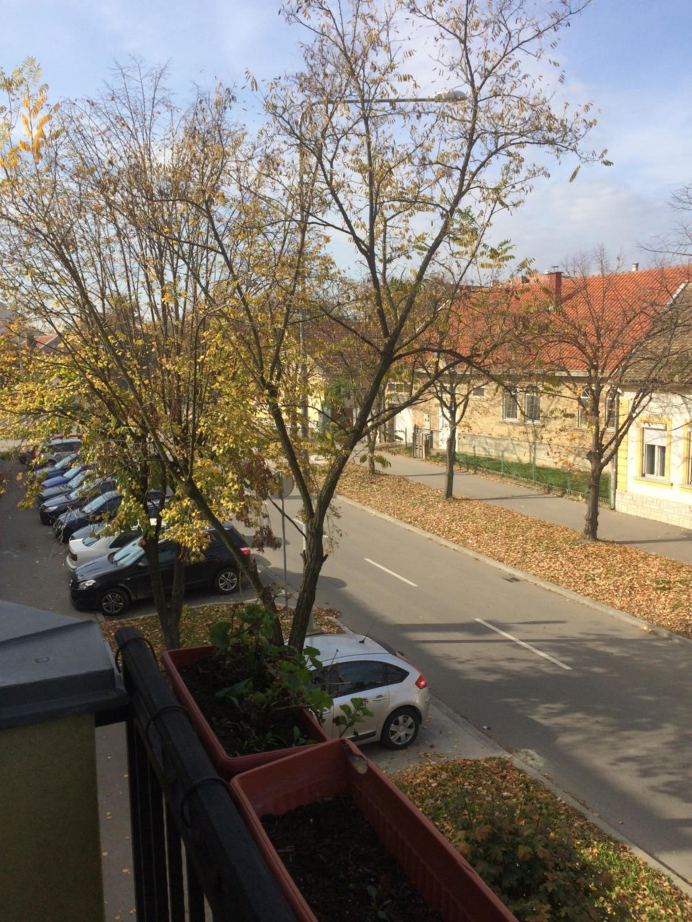 Photo 29