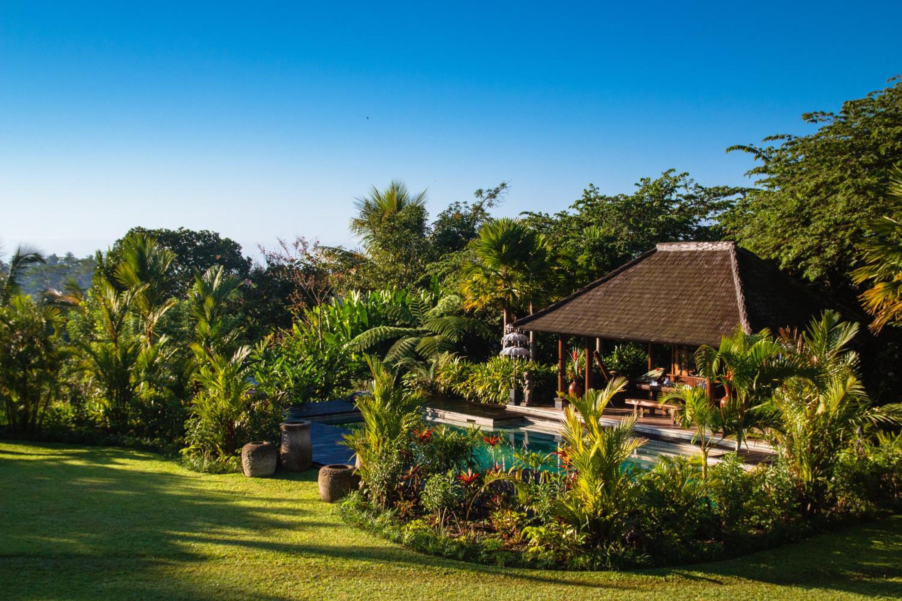 Alassari Plantation