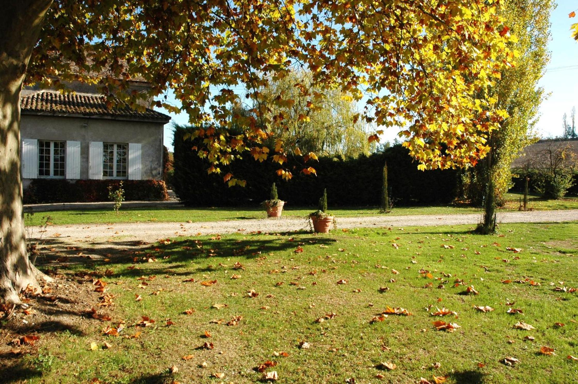 Photo 27