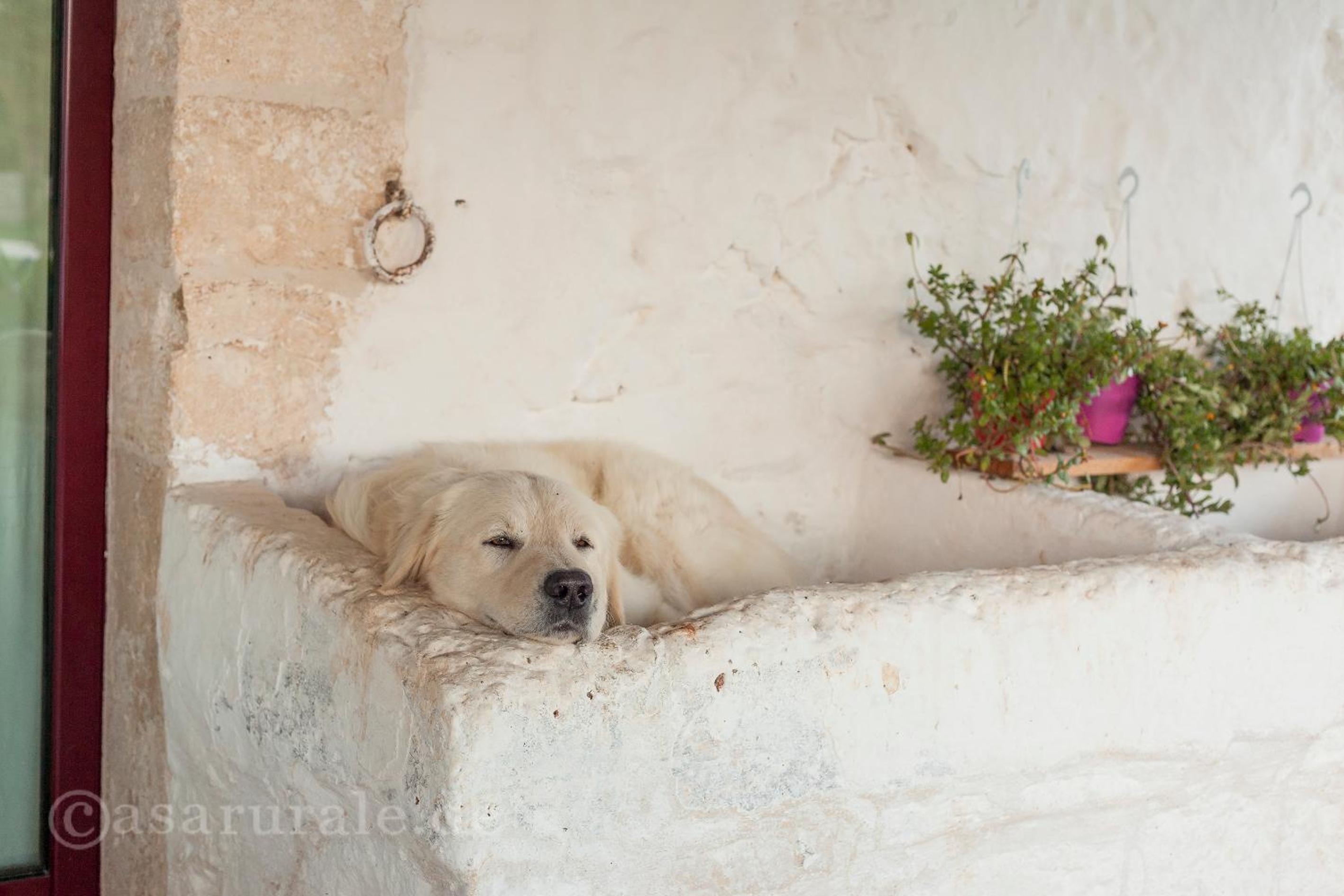 Masseria Ferri