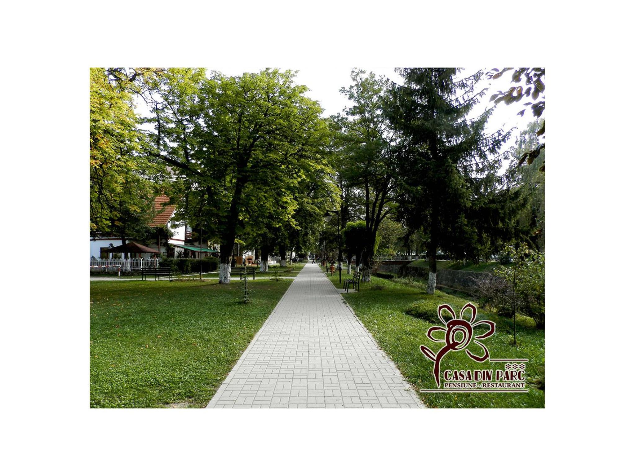 Photo 49