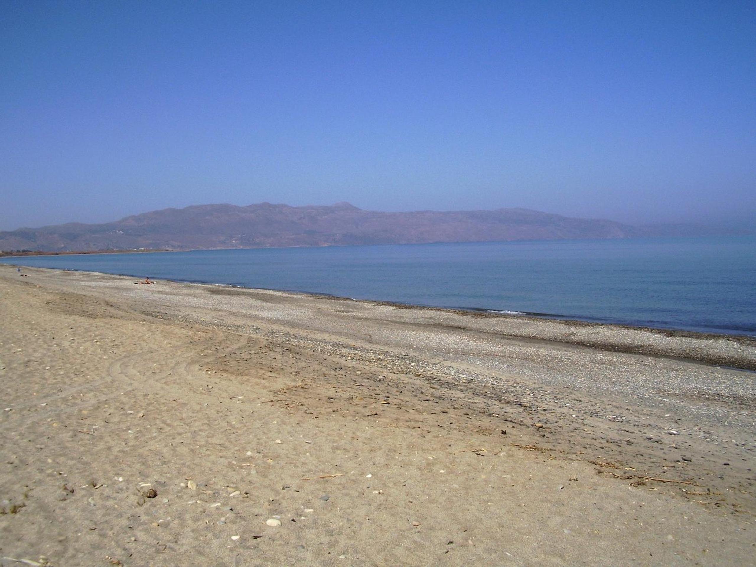 Photo 41