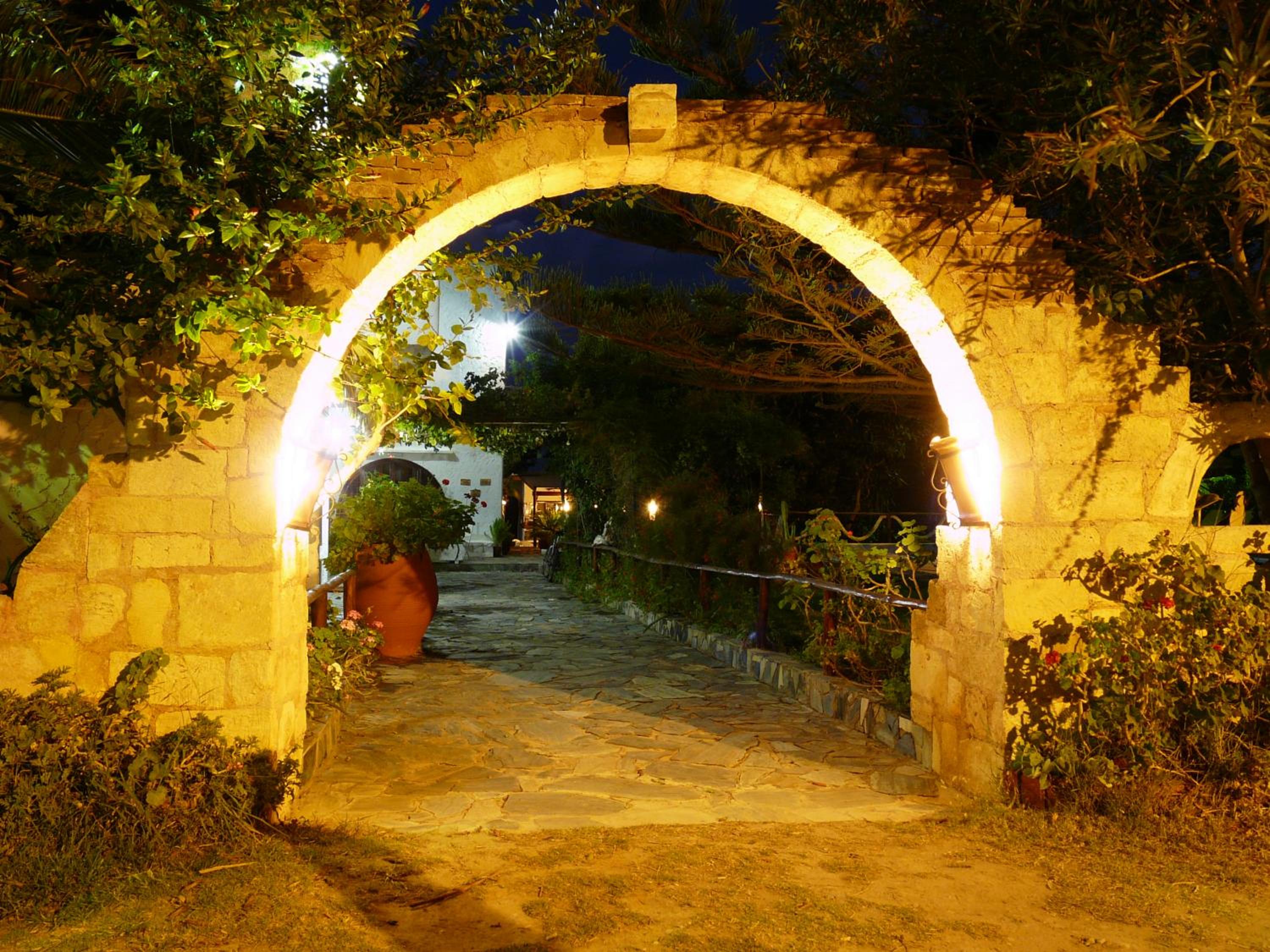 Photo 12