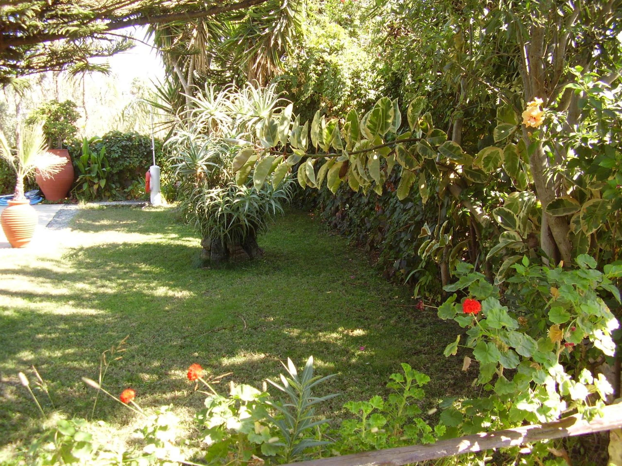 Photo 35