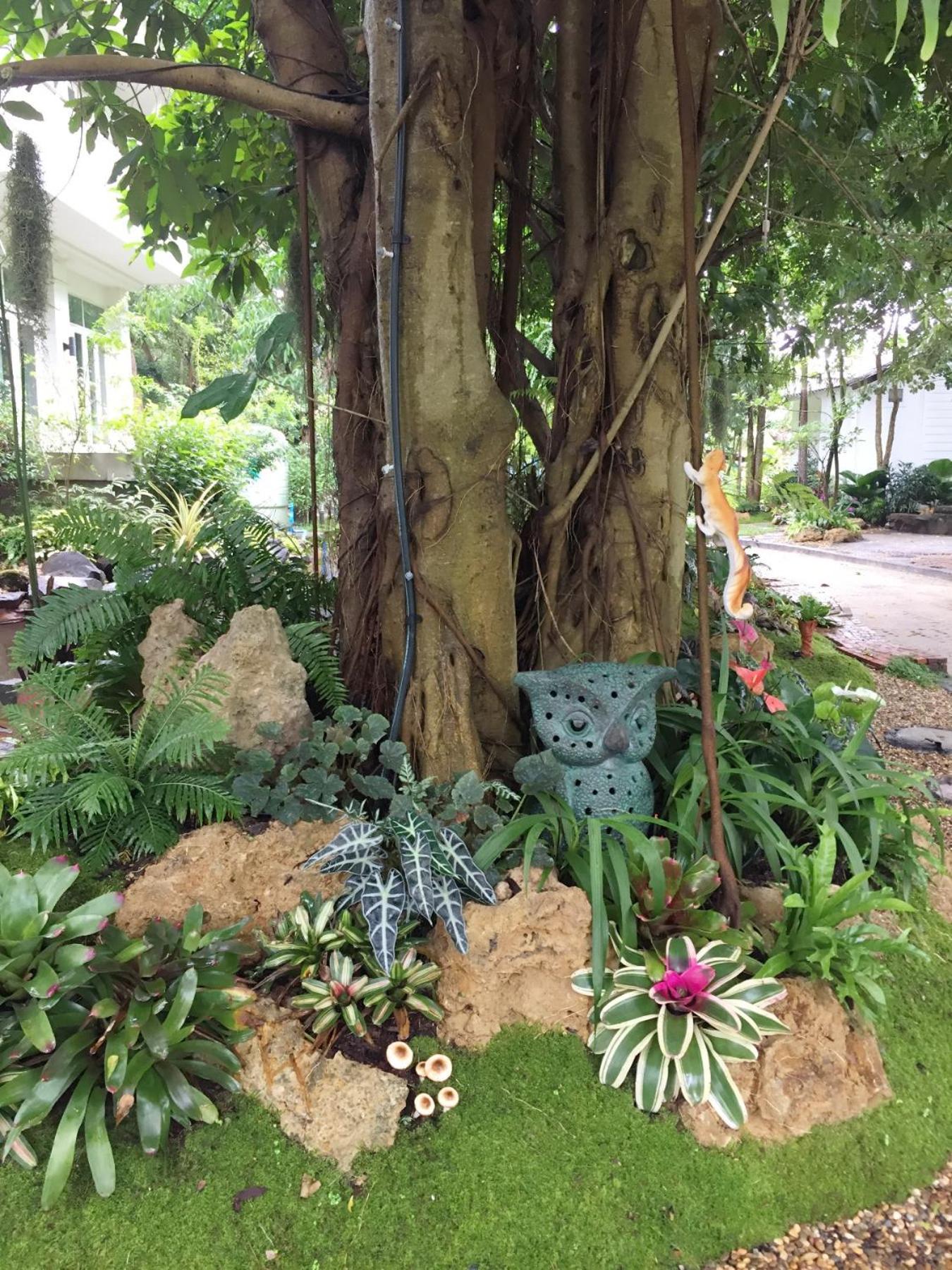 Young Coconut Garden Home Resort