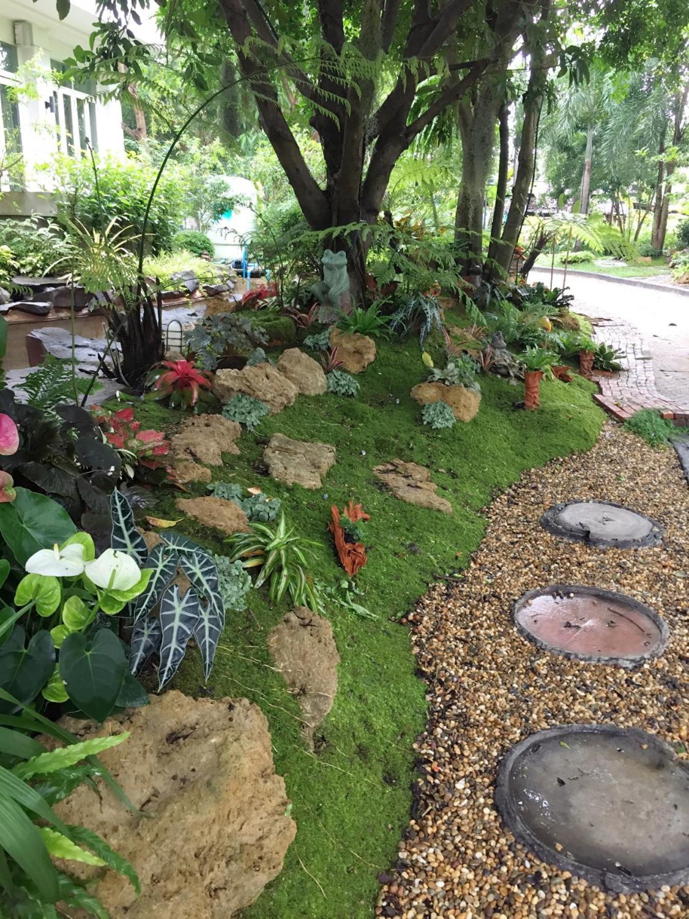 Young Coconut Garden Home Resort