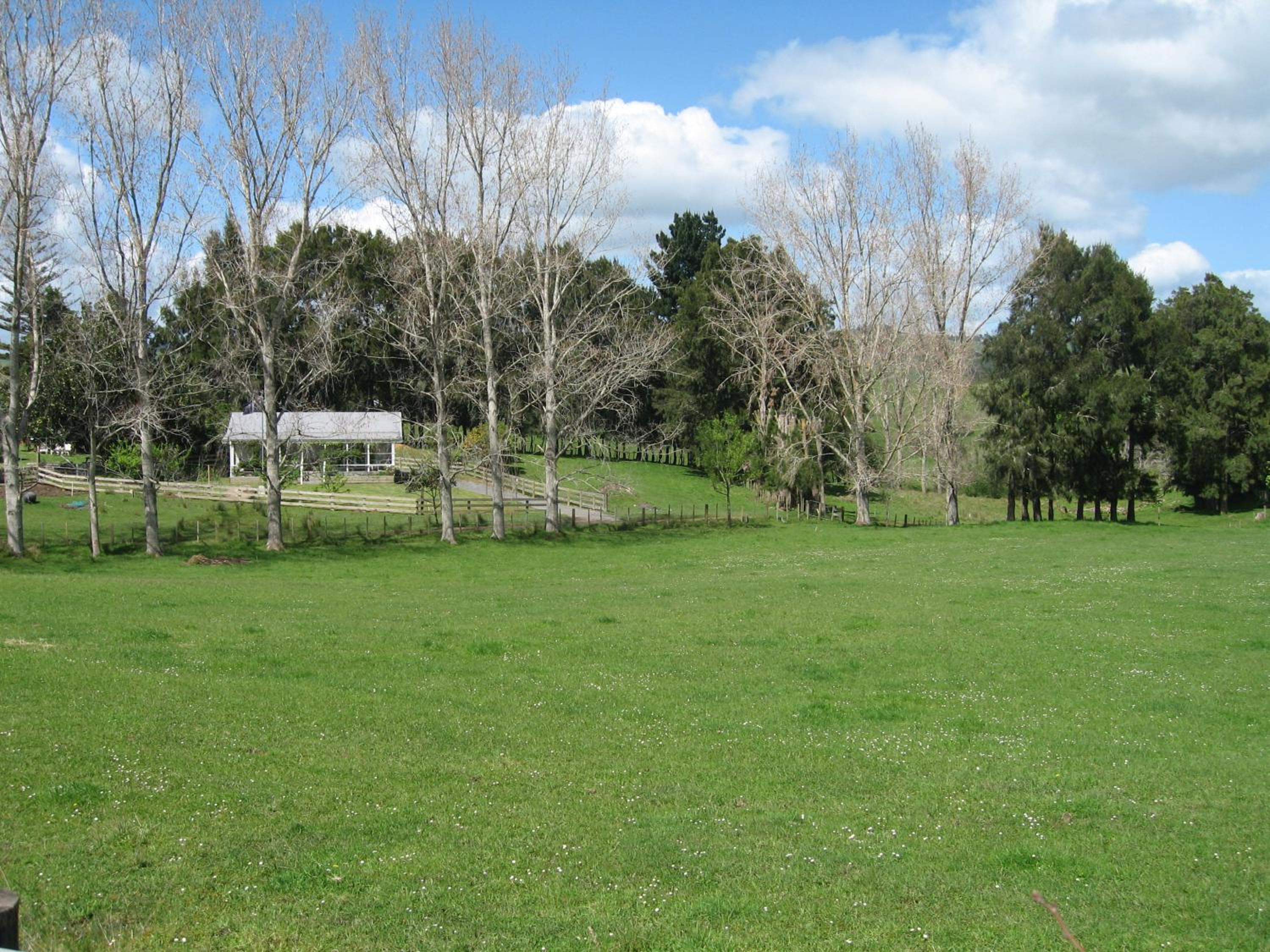 Photo 23