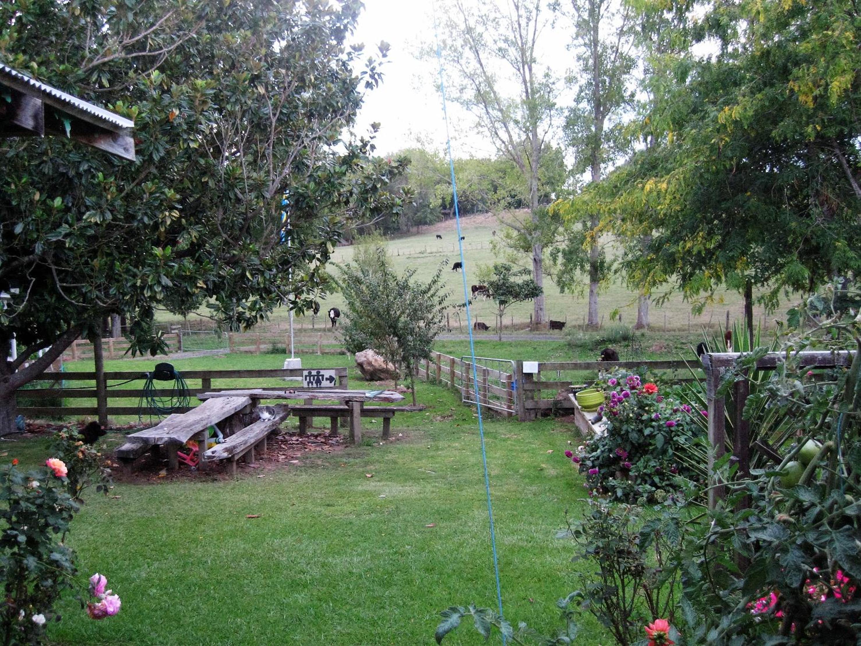Photo 20