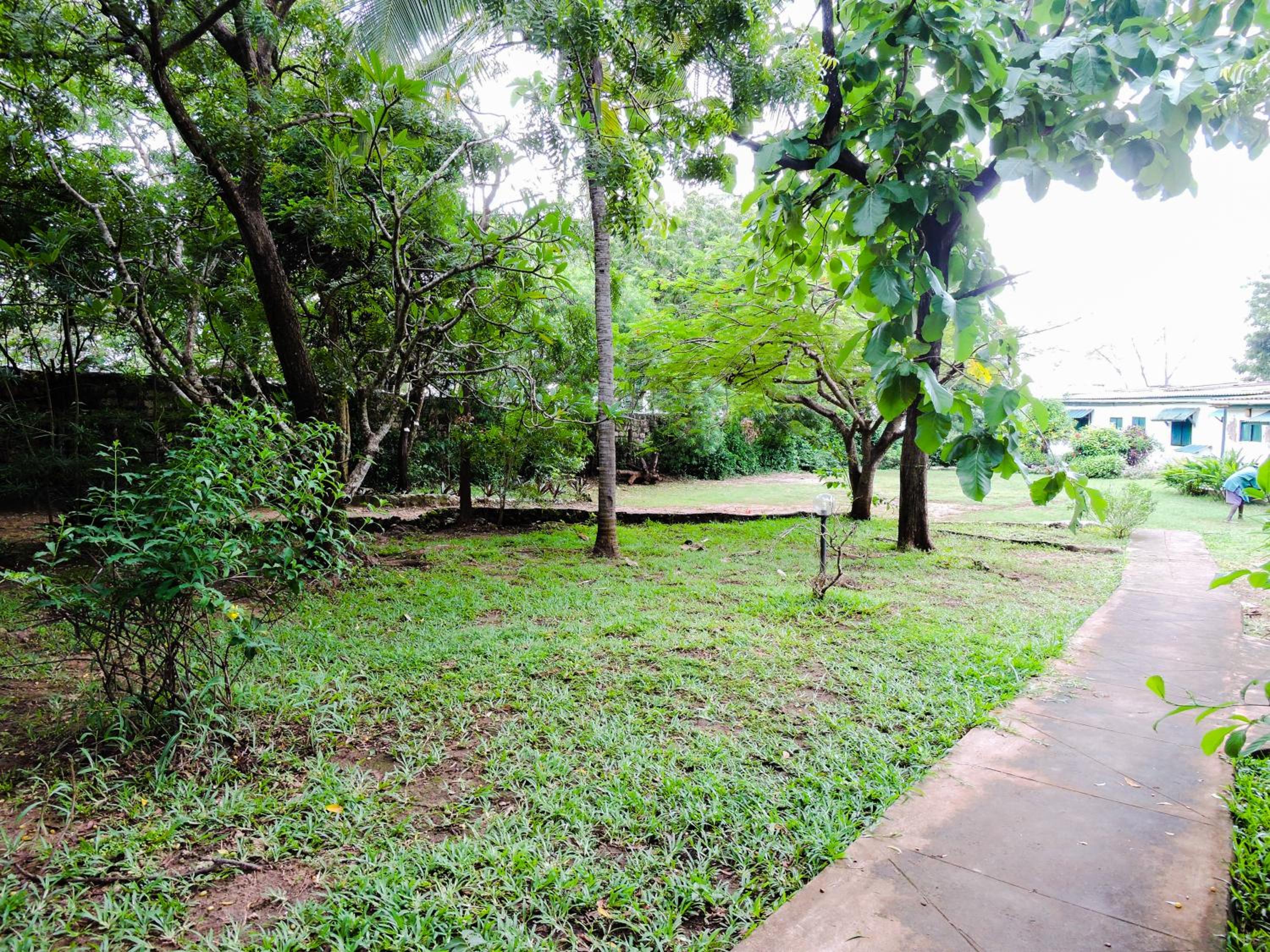 Diani Beachalets