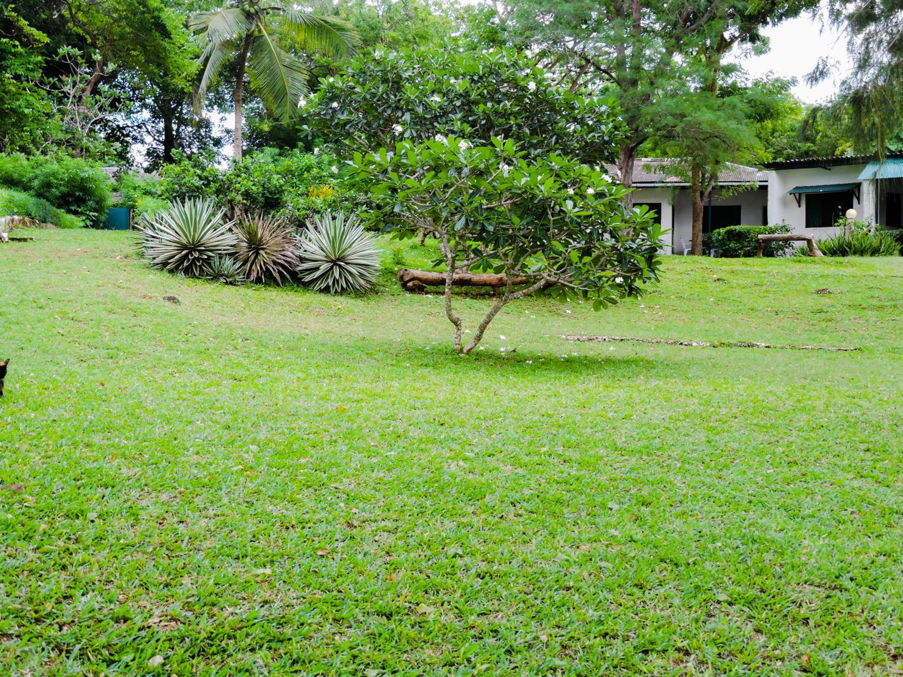 Diani Beachalets