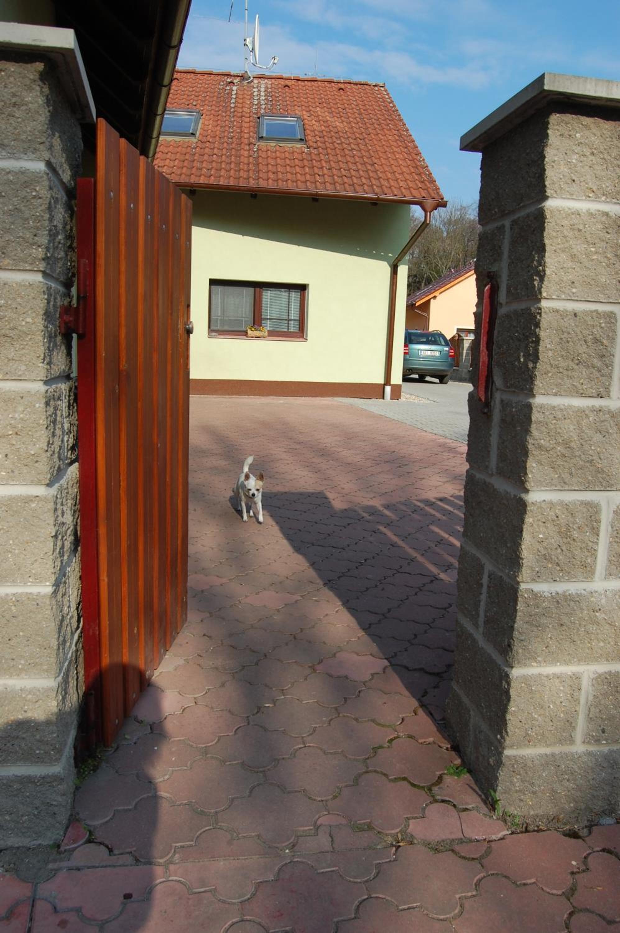 Photo 19