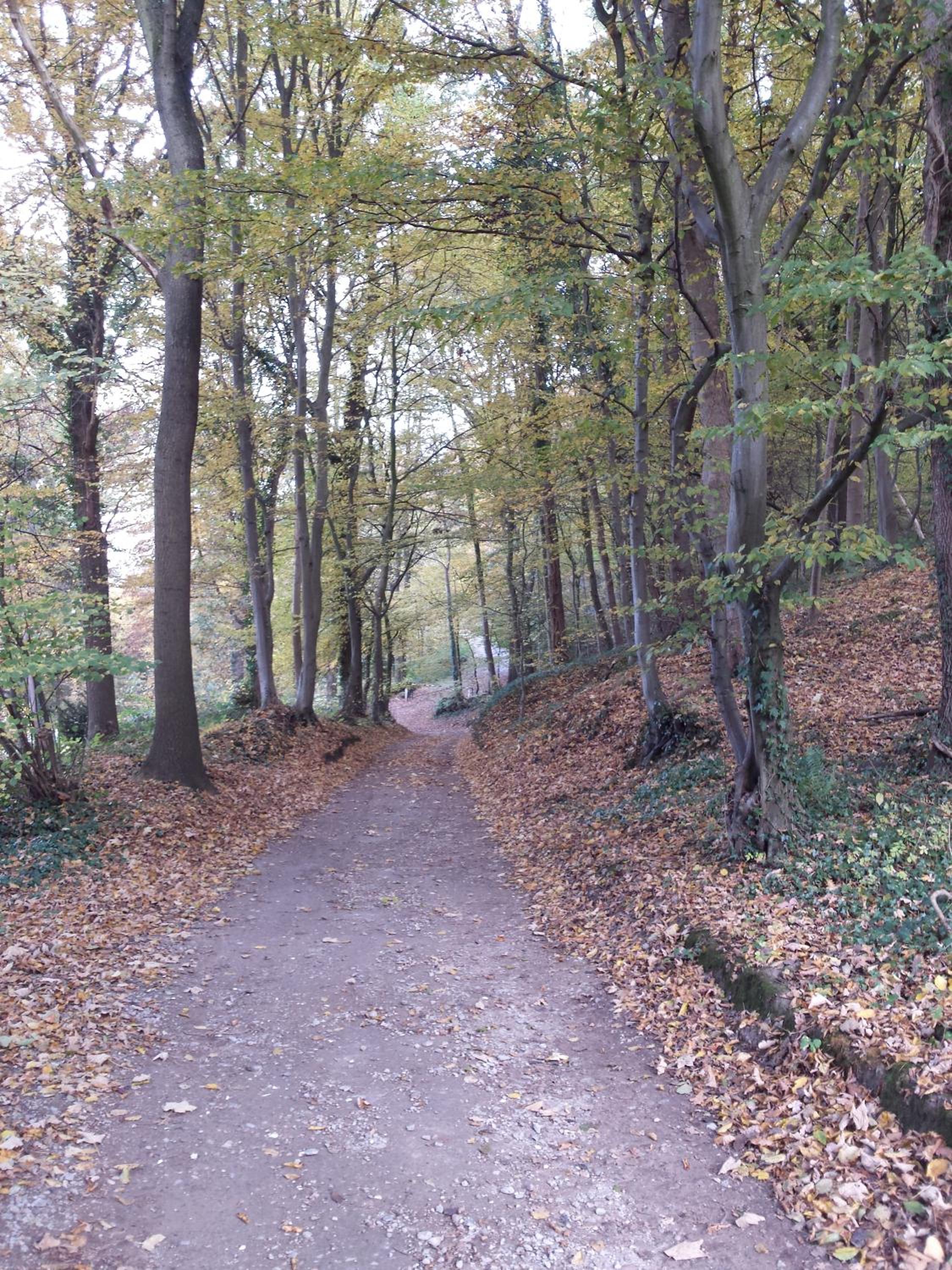 Photo 45