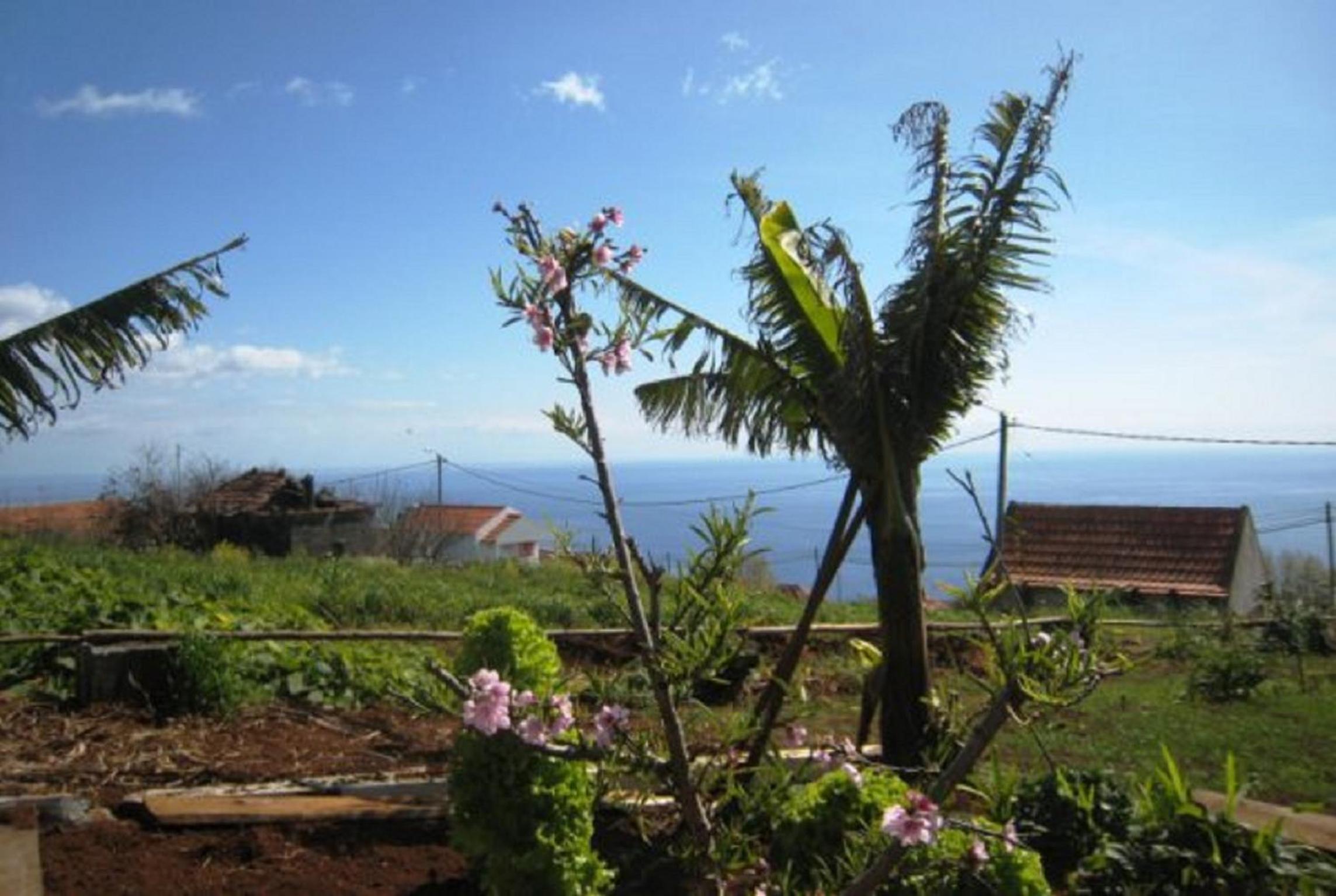 Little Norway in Madeira view 2