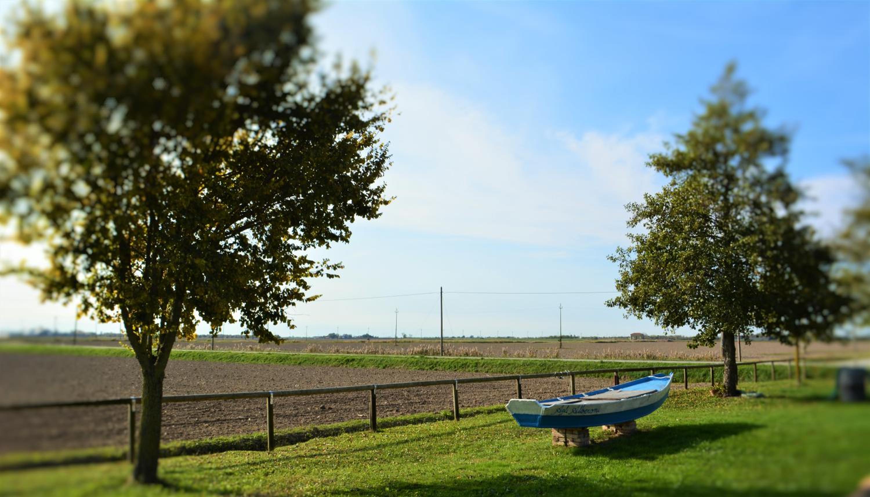 Alloggi e Trattoria Agli Alberoni