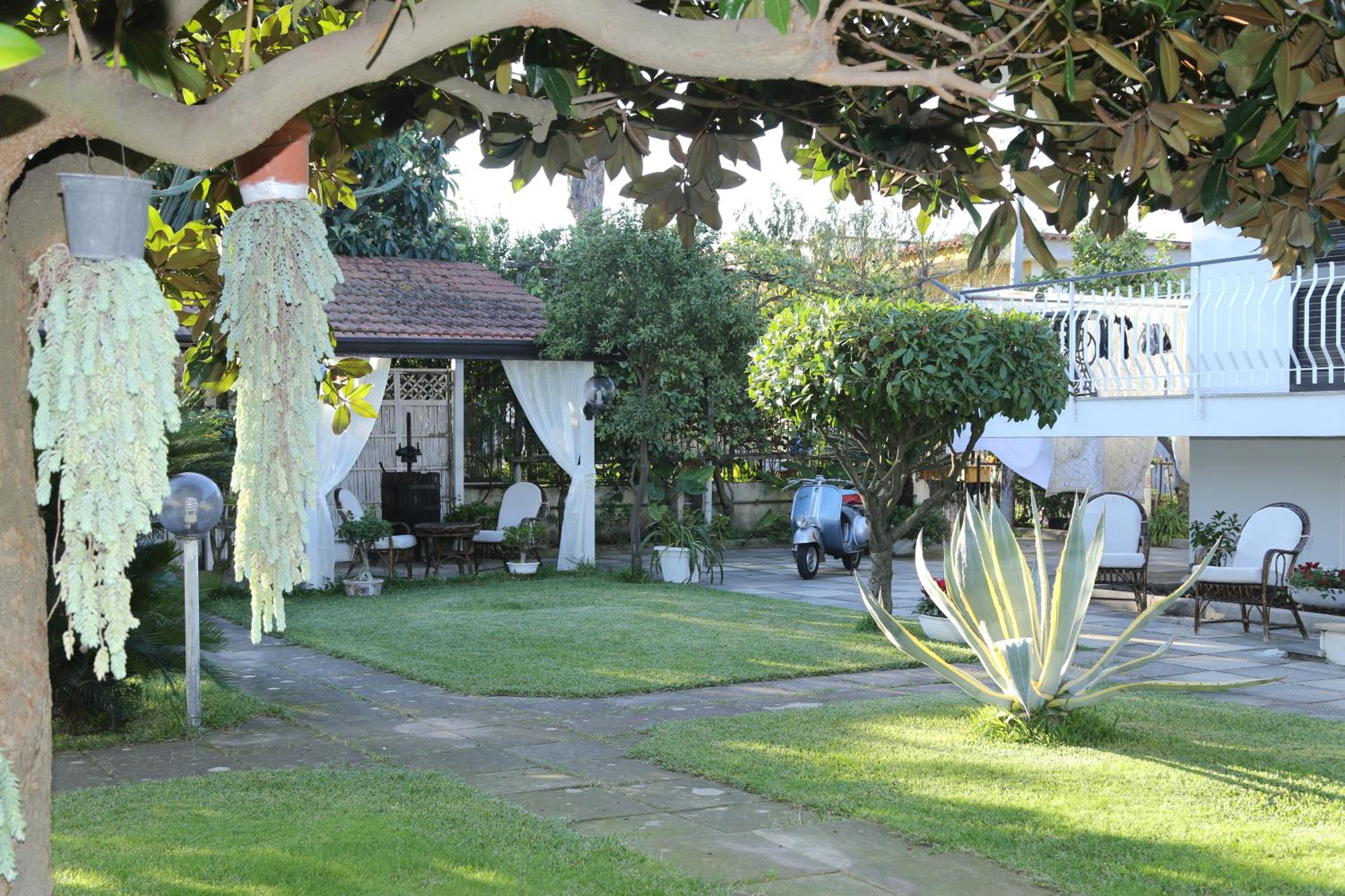Photo 31