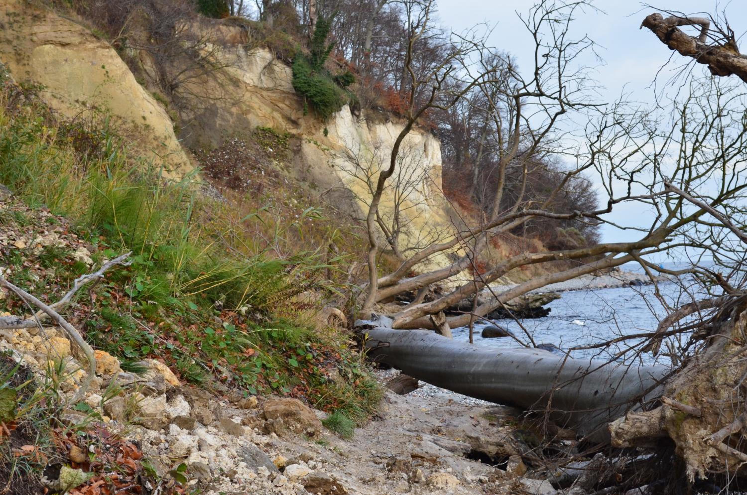 Pension & Ferienwohnungen Schneidereit