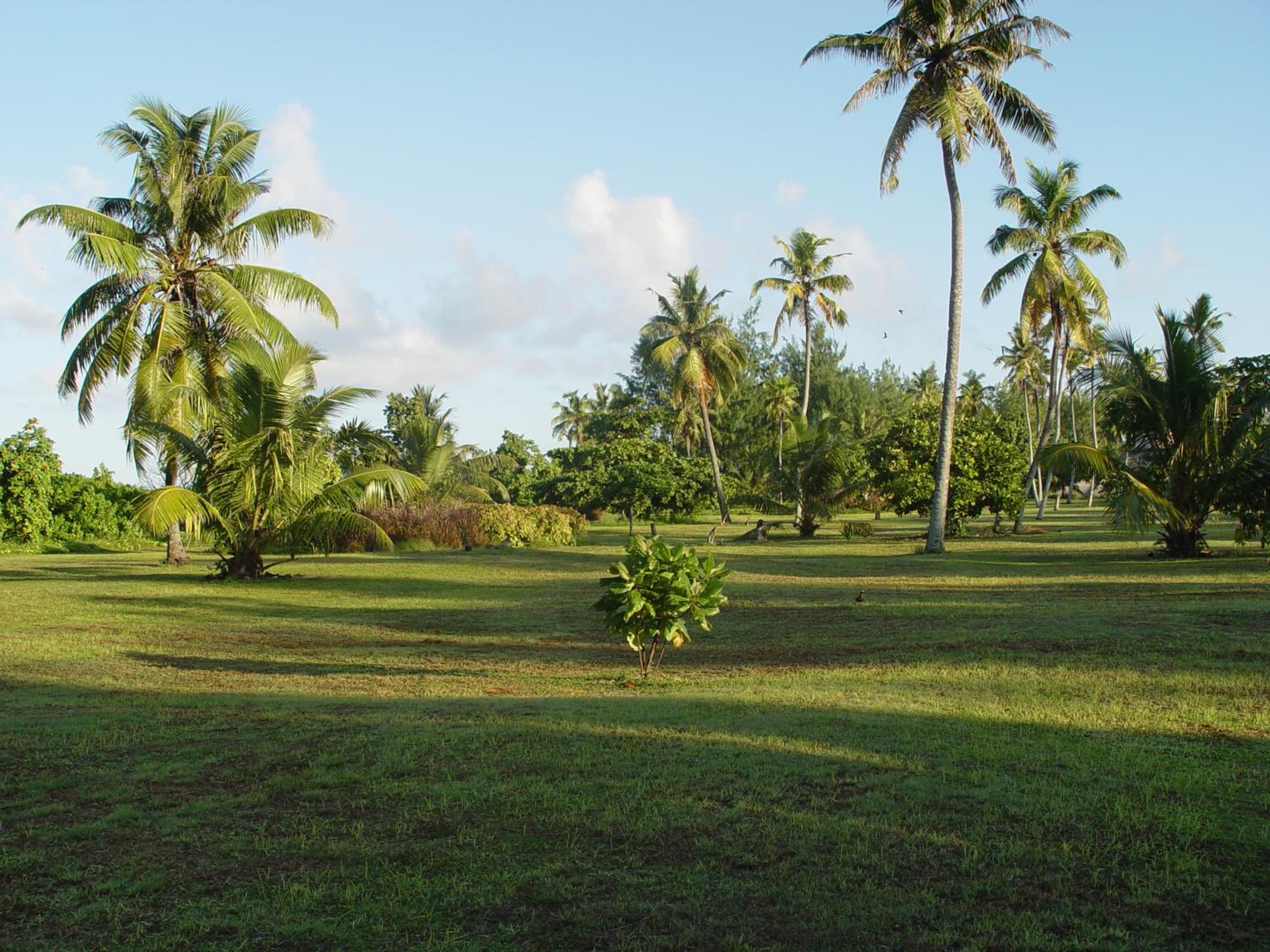 Photo 29