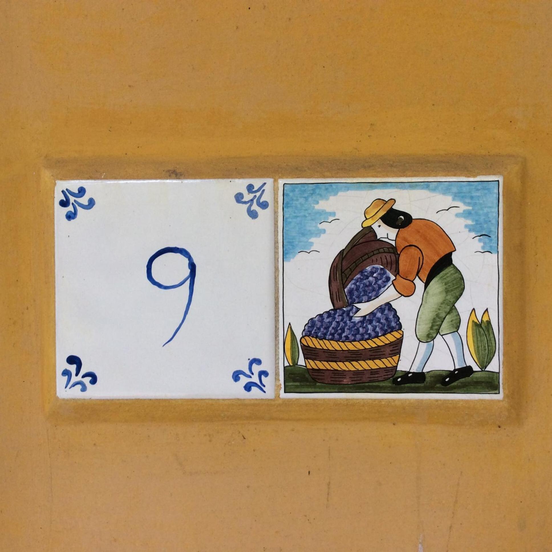 Photo 47