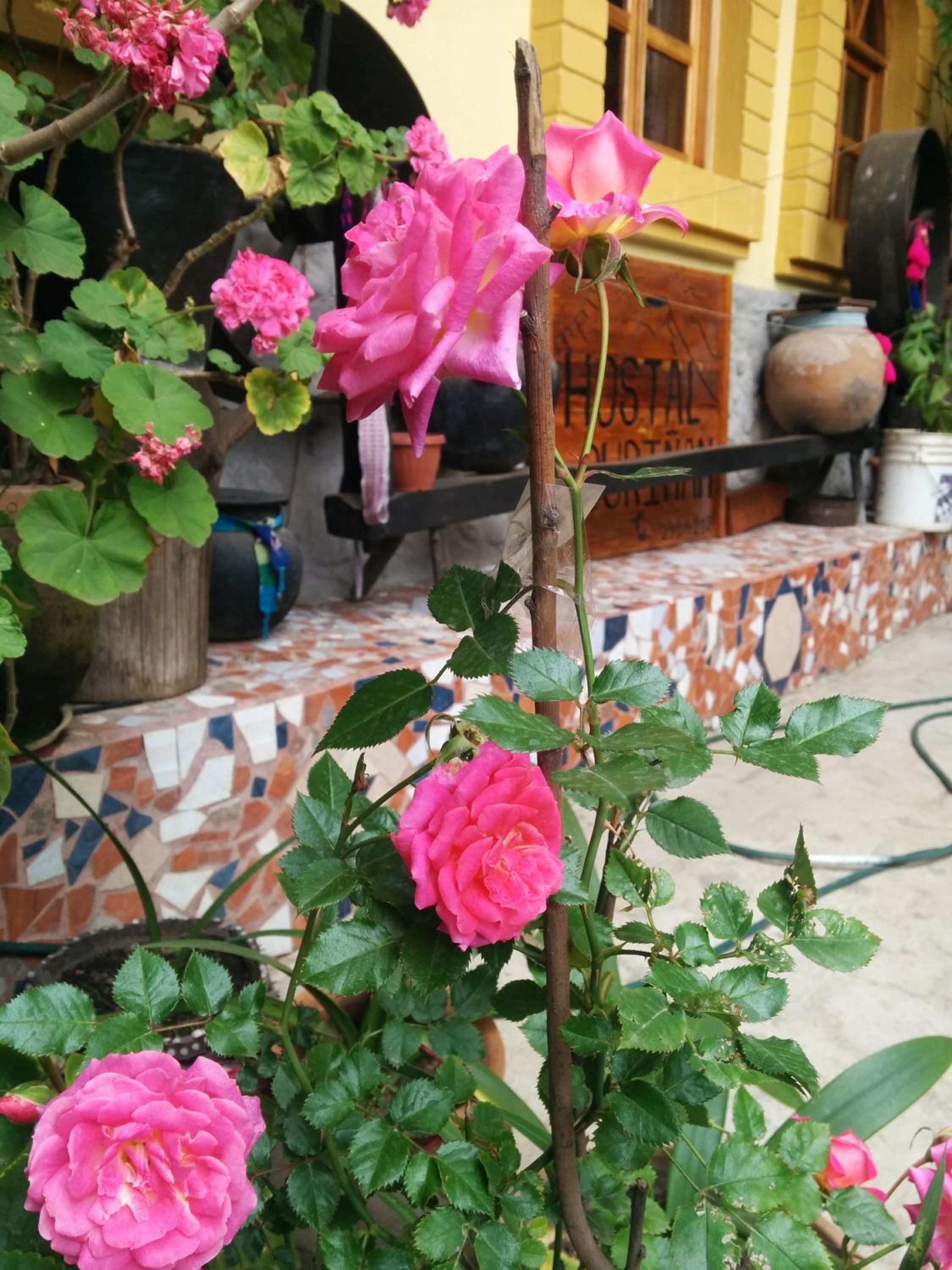 Hostal Curiñan