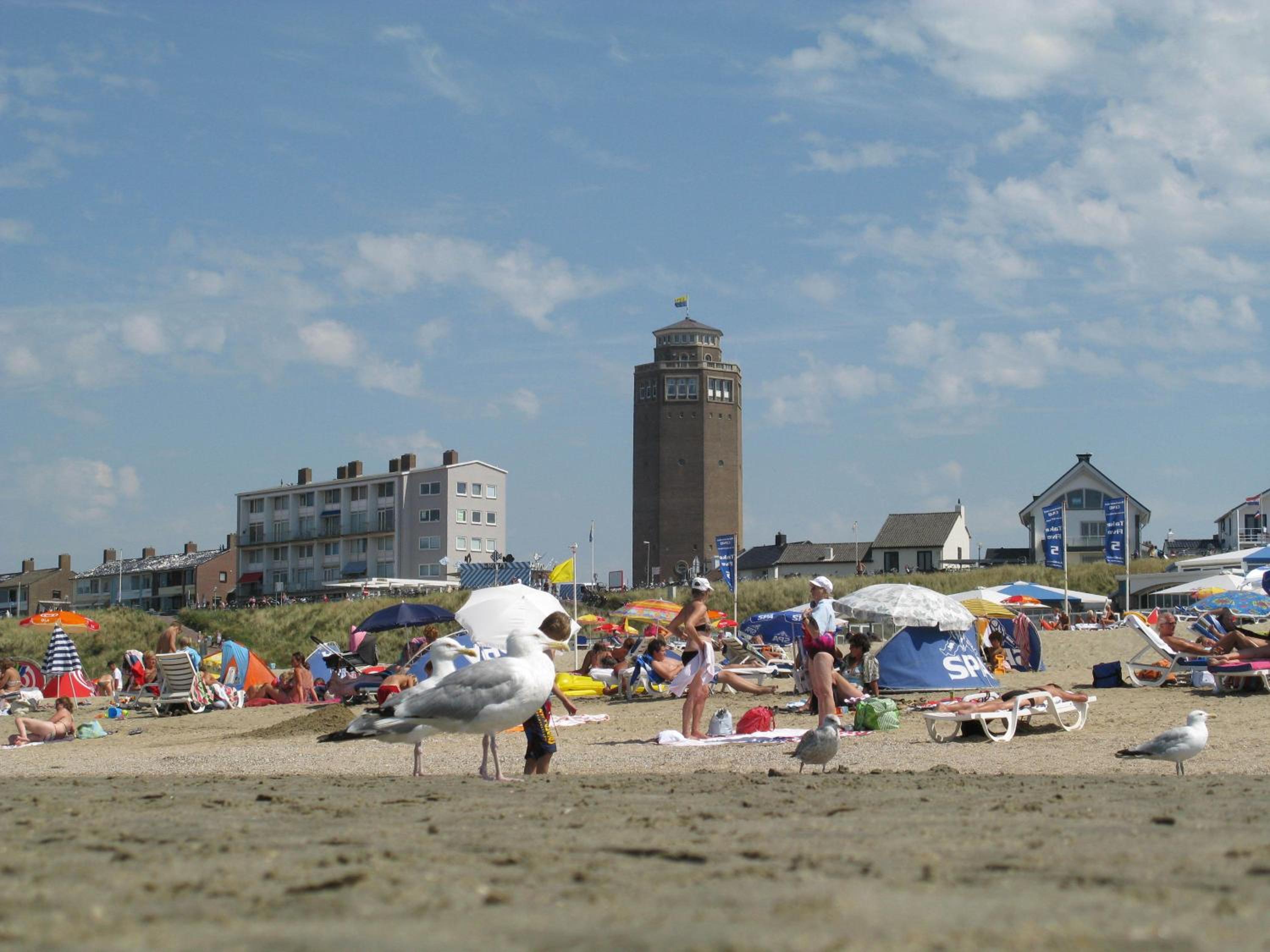 Photo 44