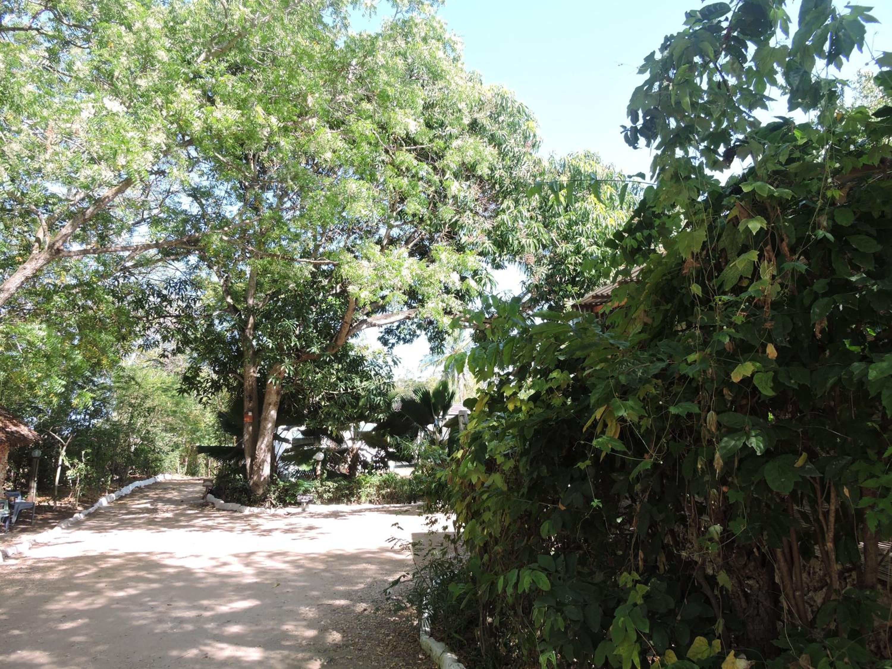Diani Beachalets