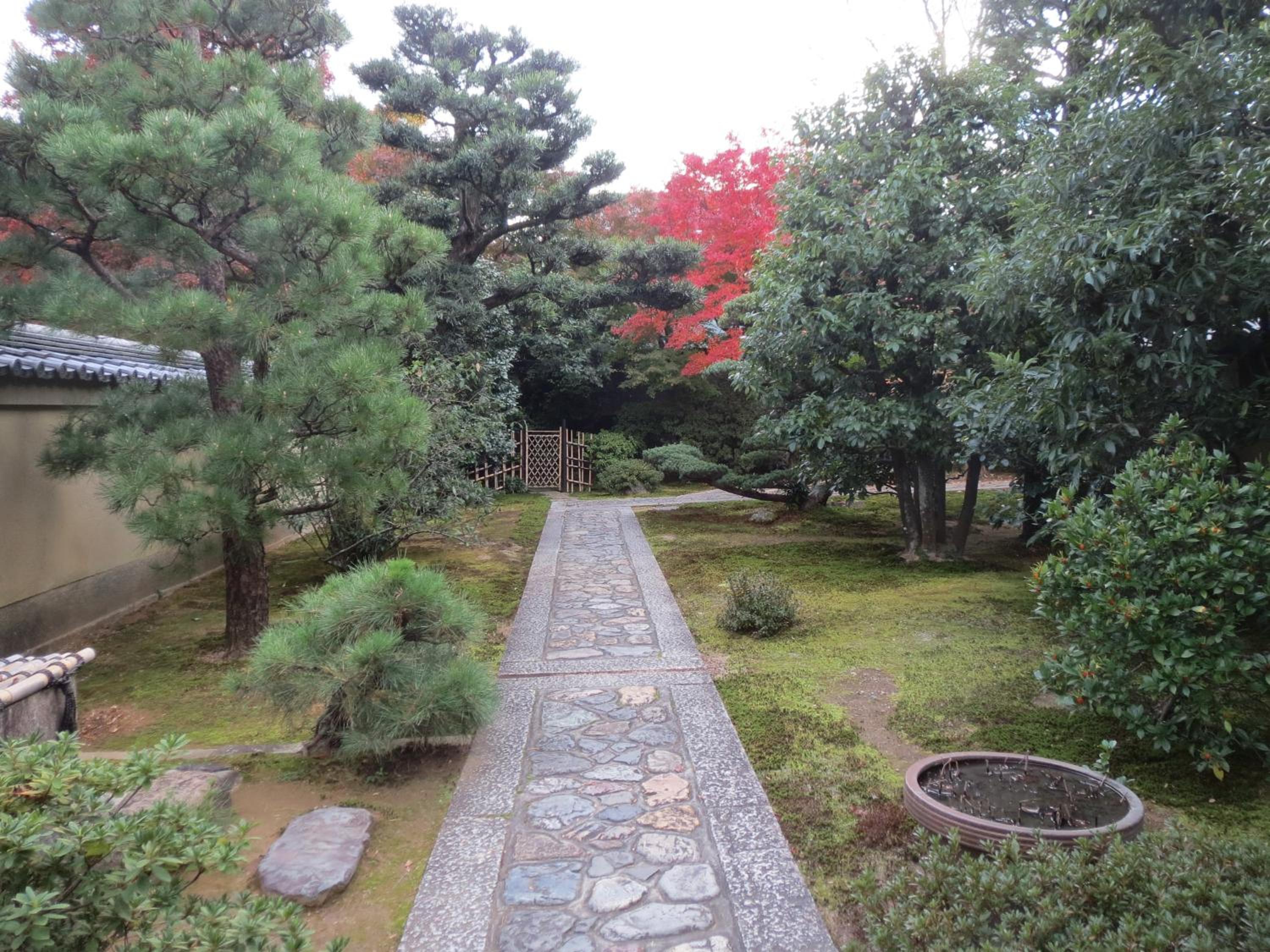 Photo 17
