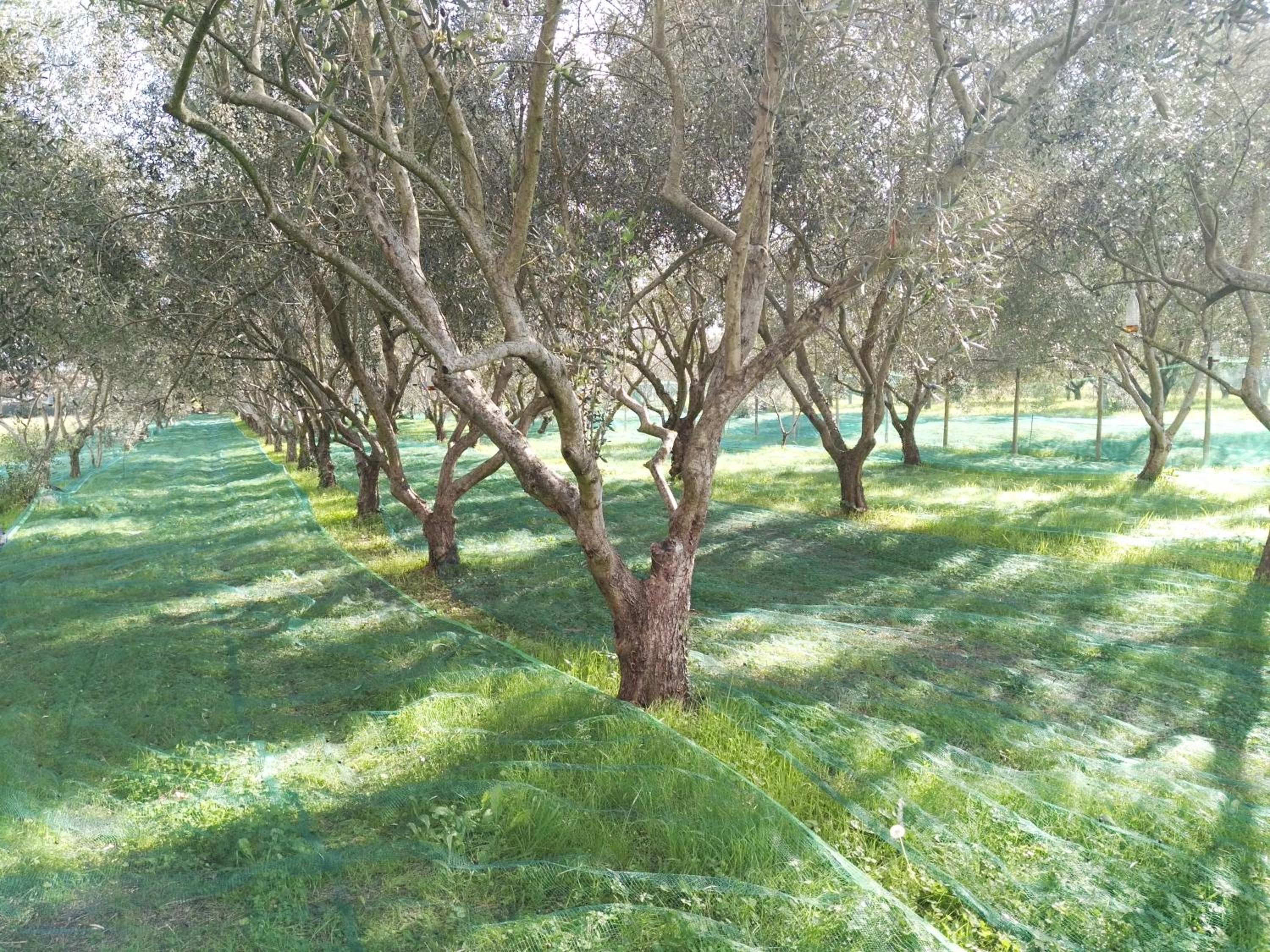 Photo 45