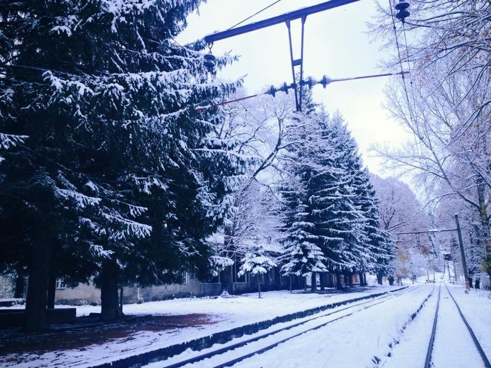Photo 47