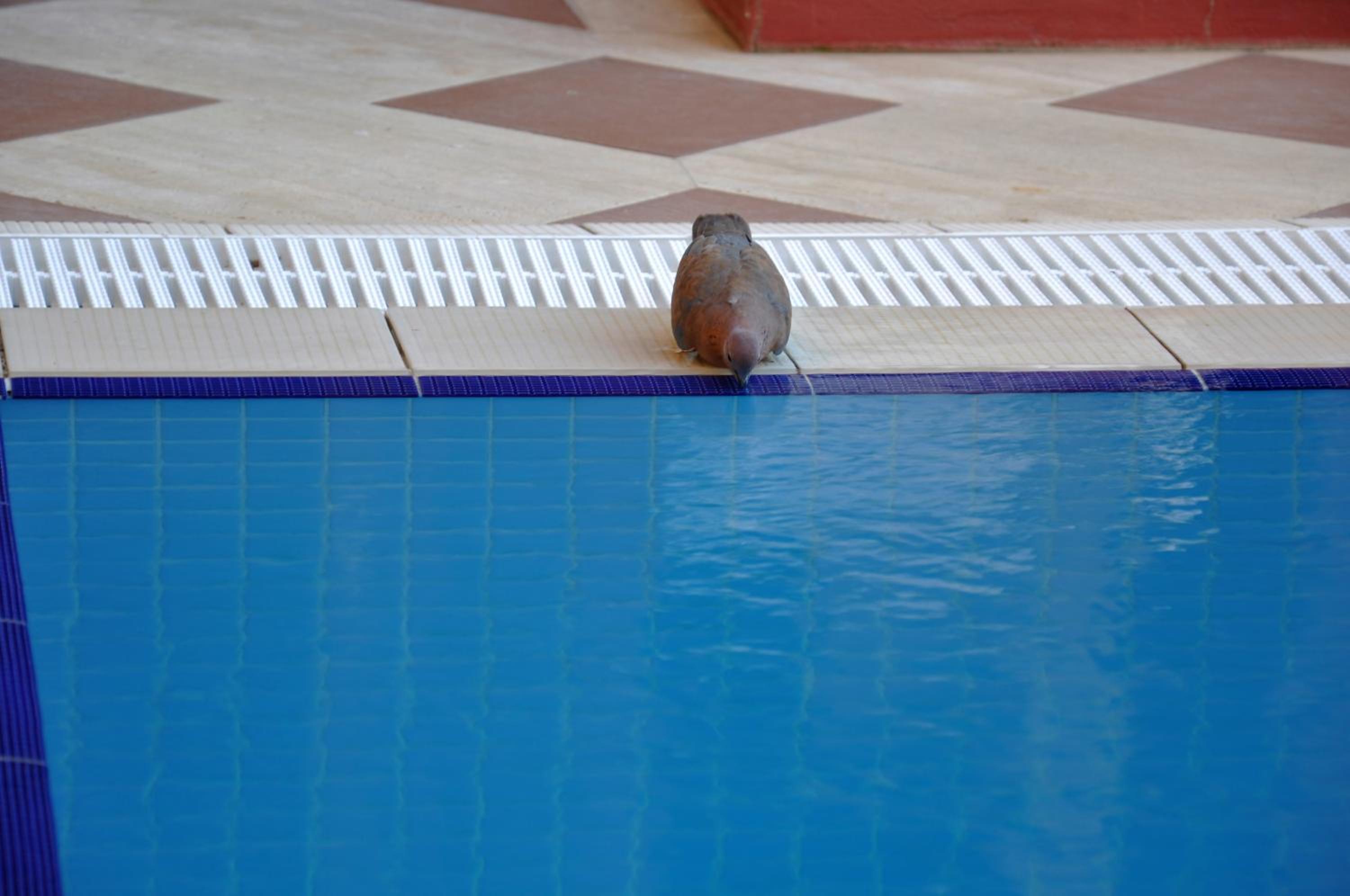 Eski Masal Hotel - Special Class - Image 120