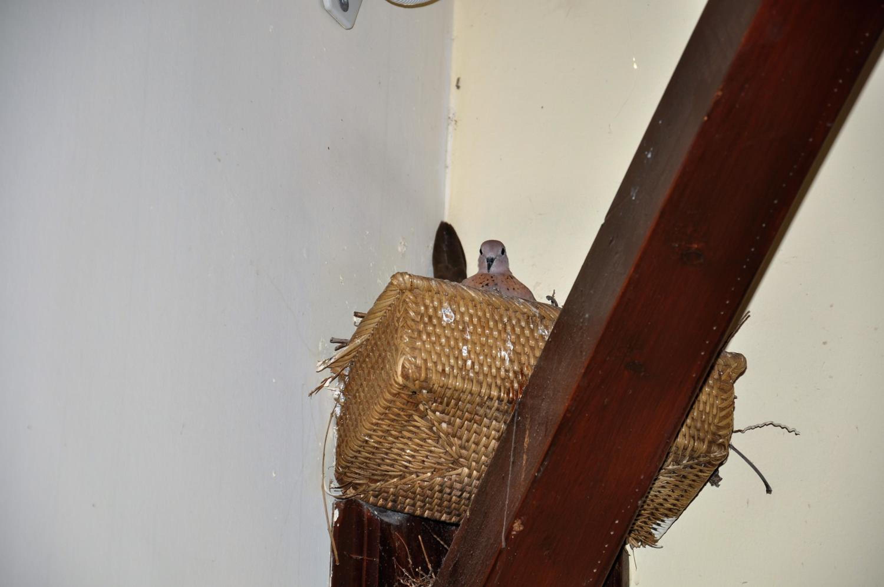 Eski Masal Hotel - Special Class - Image 86