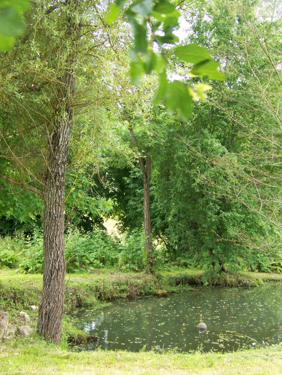 Photo 31
