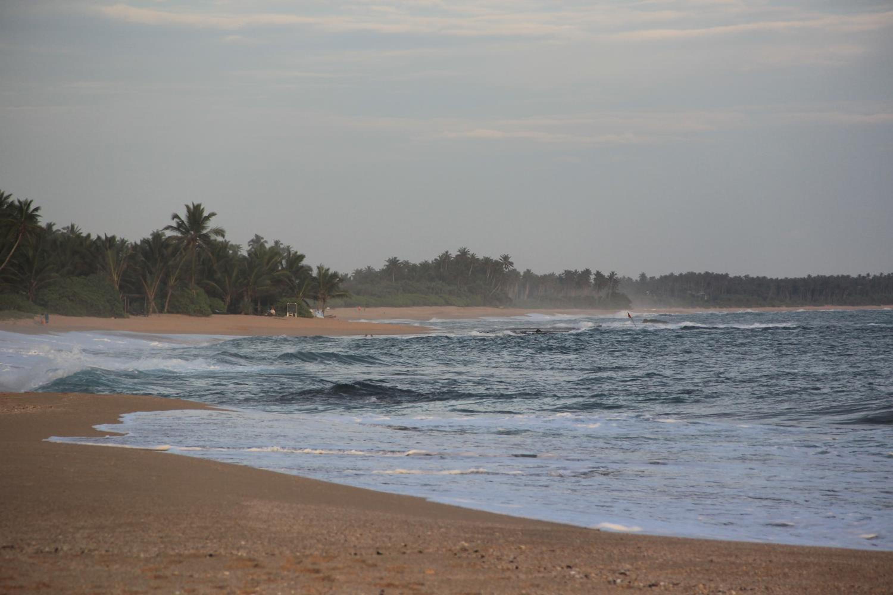 Photo 42
