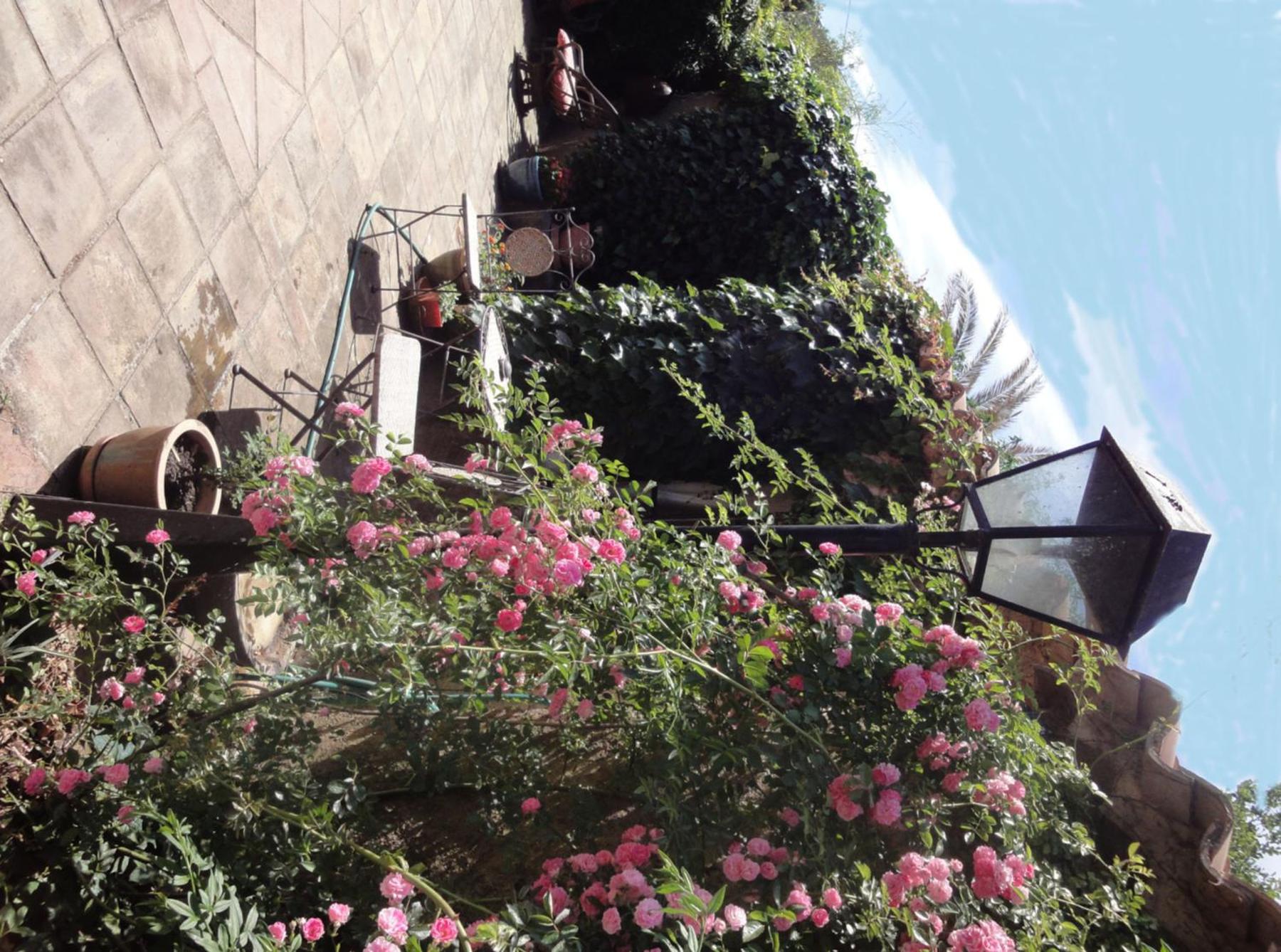 L'Amandari - Provence holidays - Chambres d'hôtes avec jardin, piscine, jacuzzi, climatisation