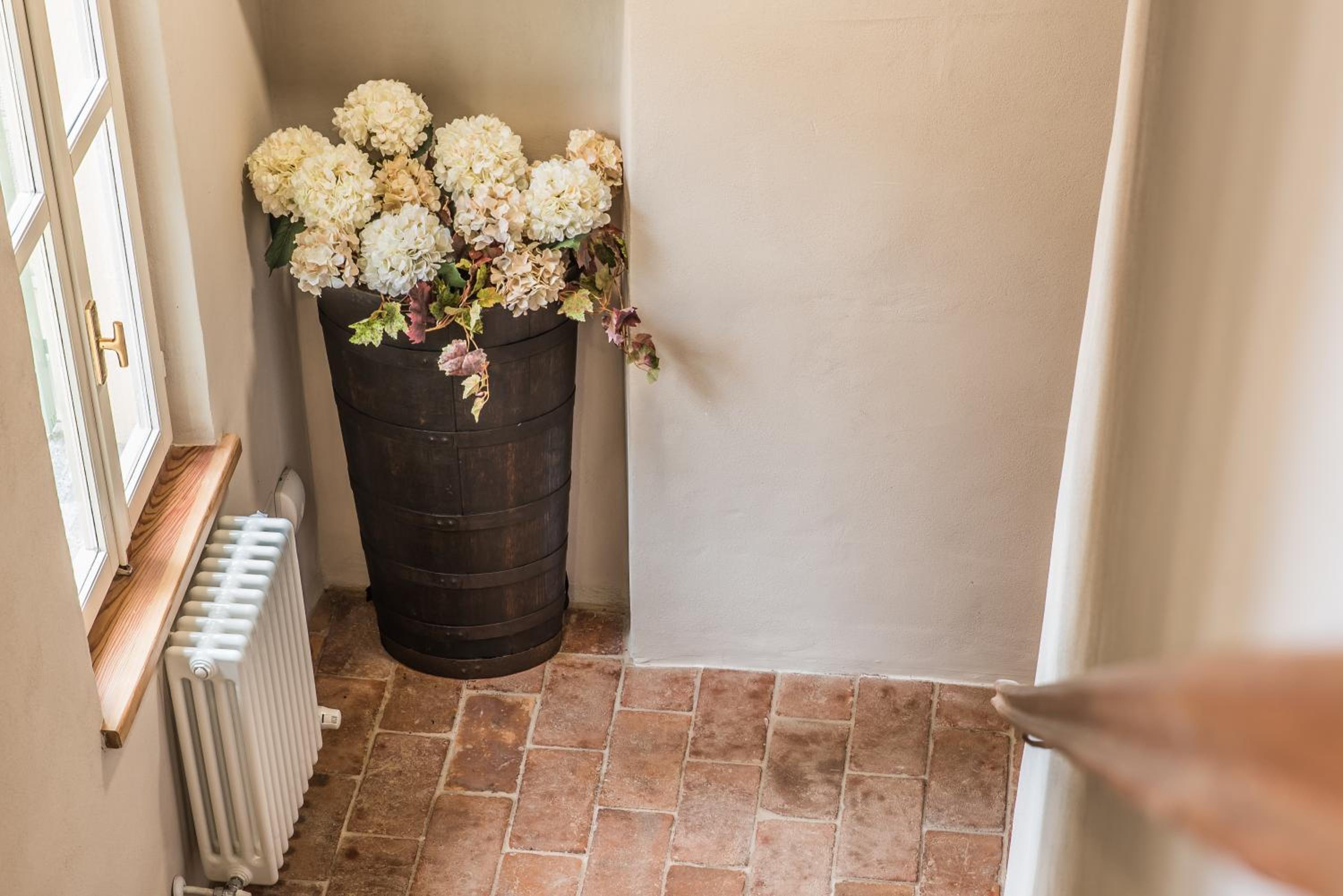 B&b Antico Tralcio