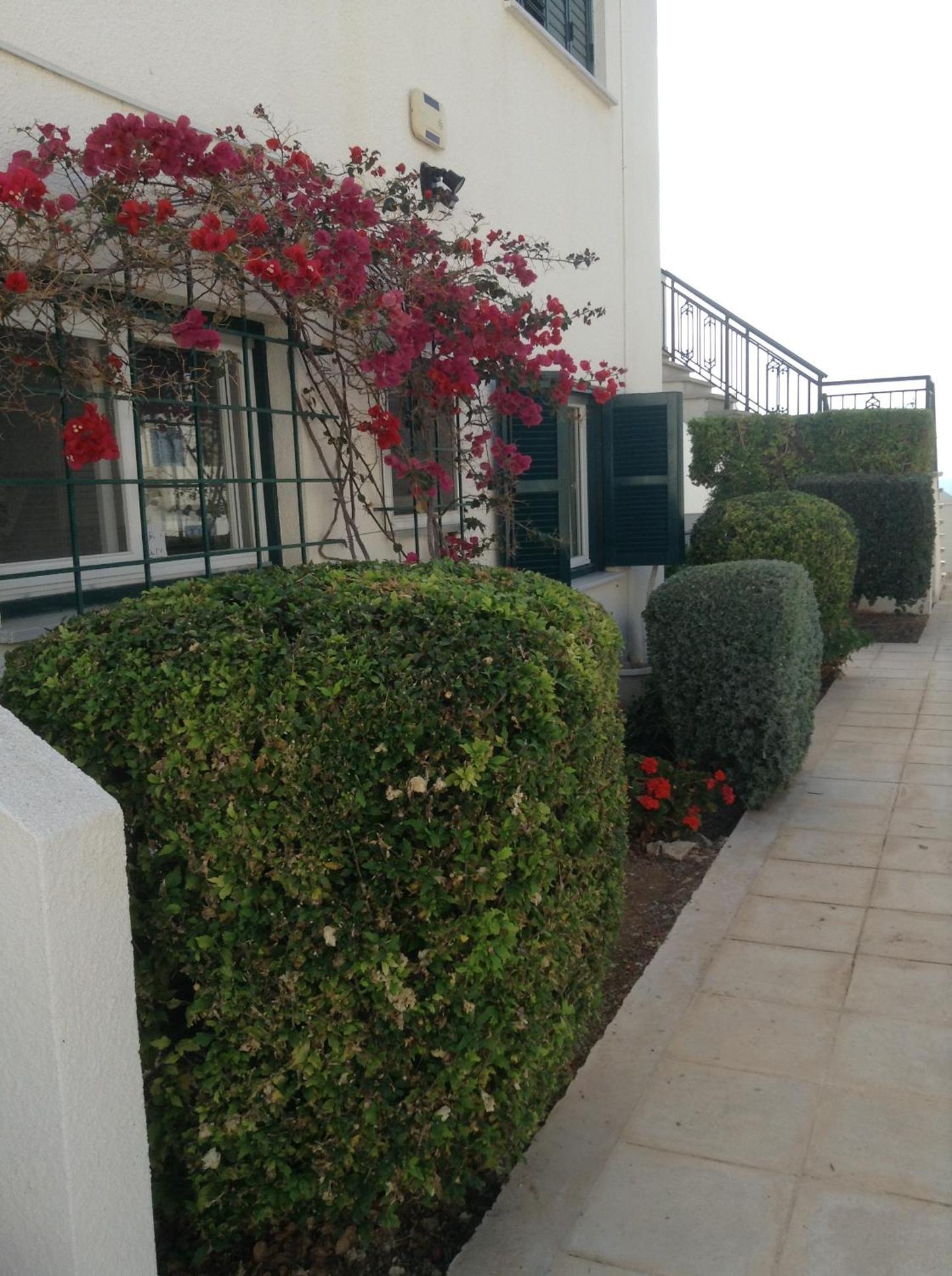 Pelagos Hill Apartment