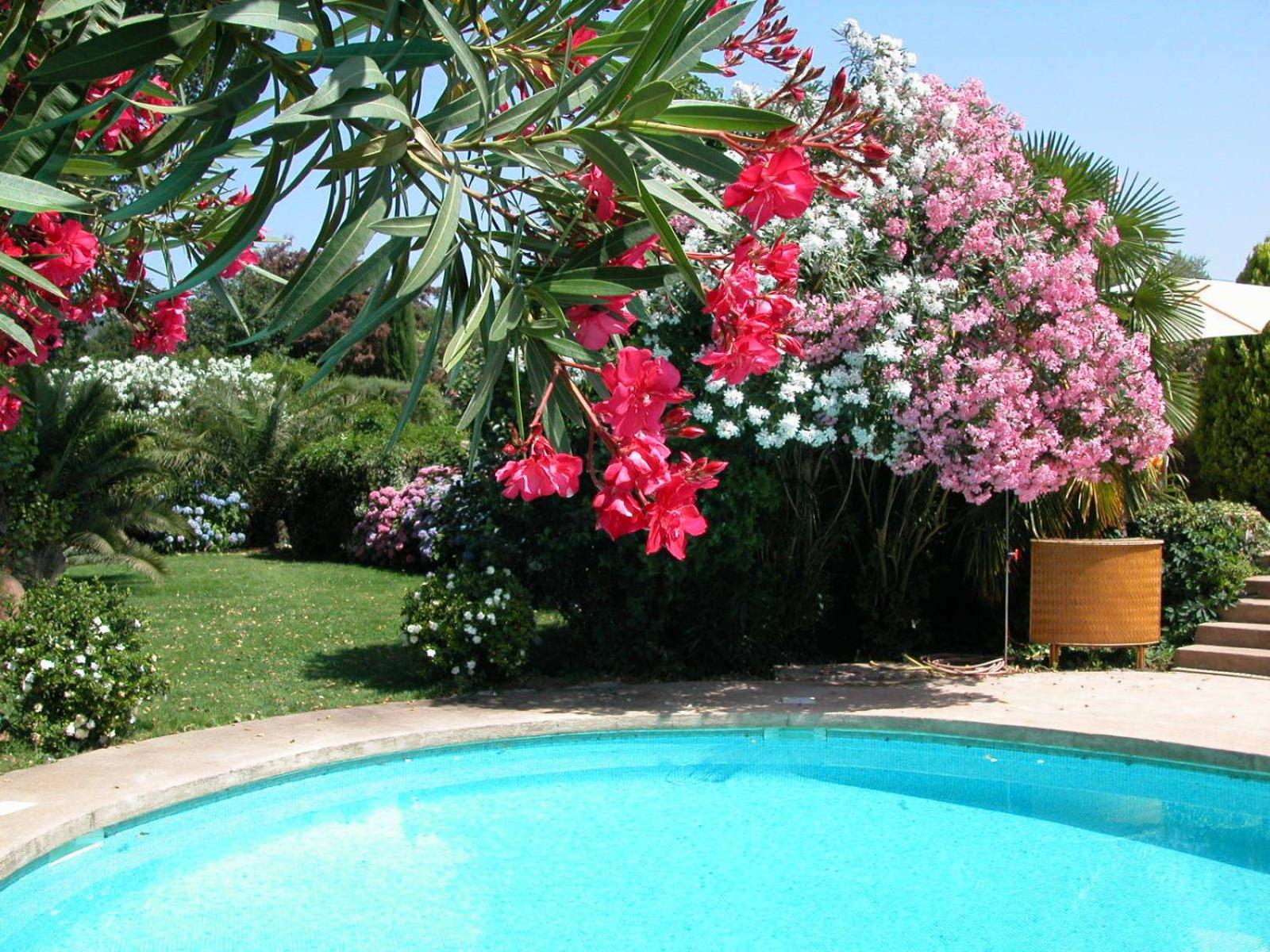 L'Amandari - Provence holidays - Chambres d'hôtes avec jardin, piscine, jacuzzi, climatisation
