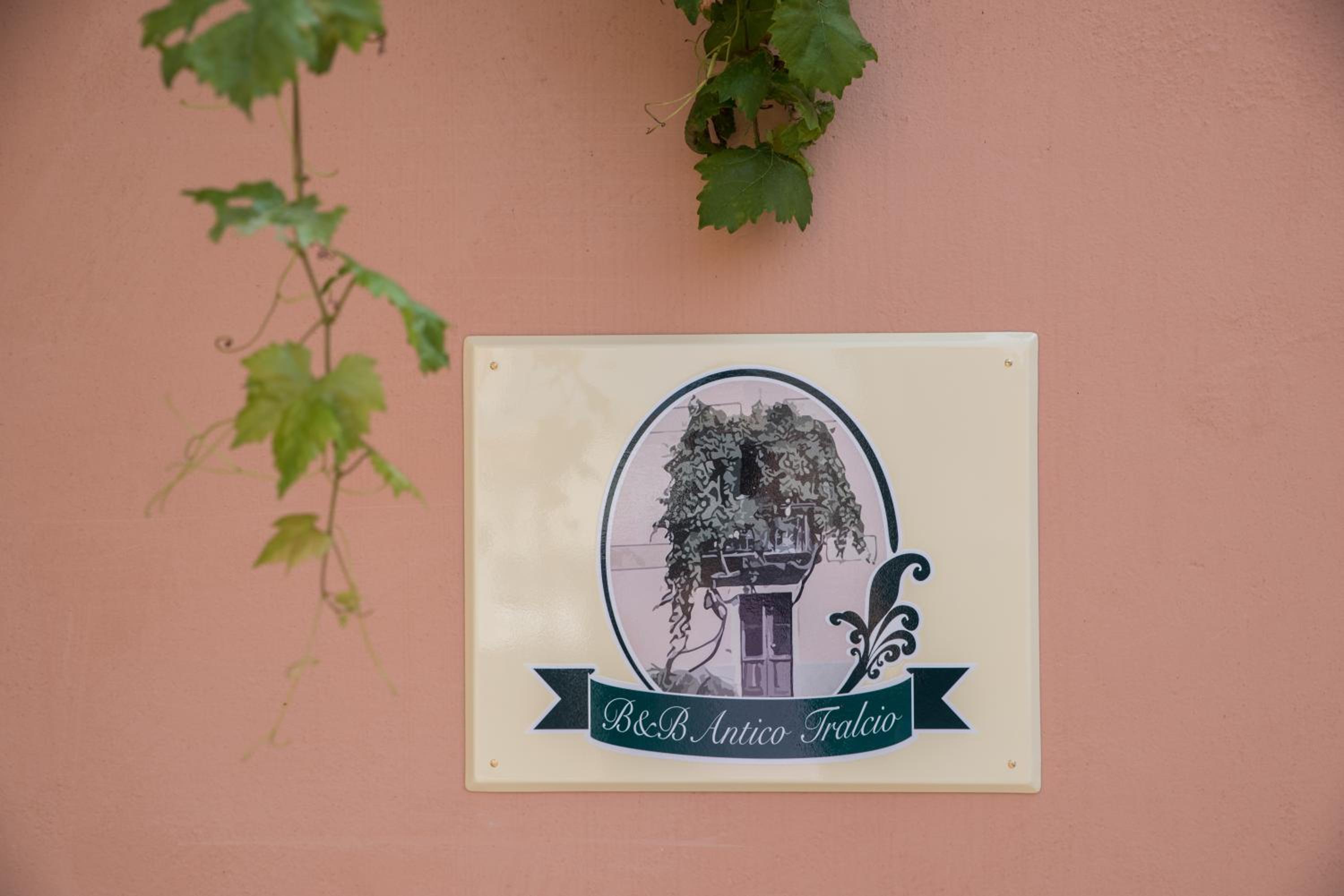 B&b Antico Tralcio
