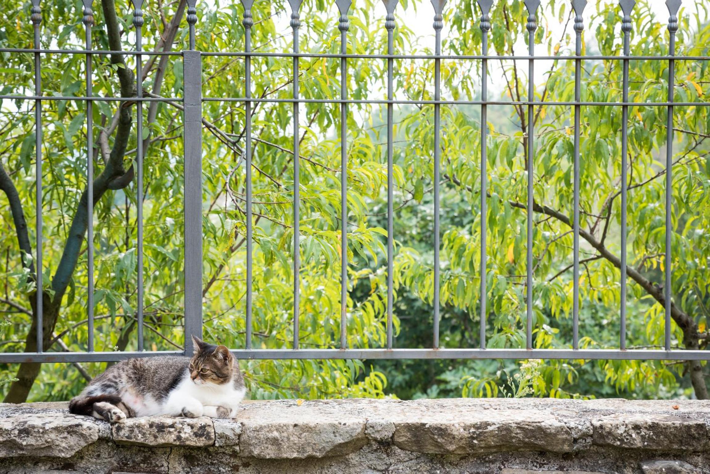 Masseria Acquasalsa