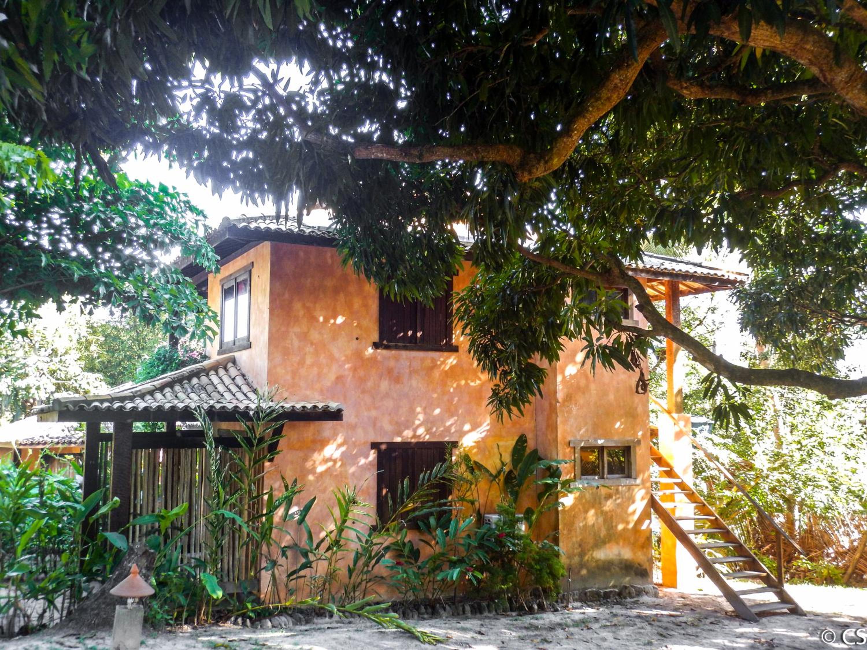 Photo 18