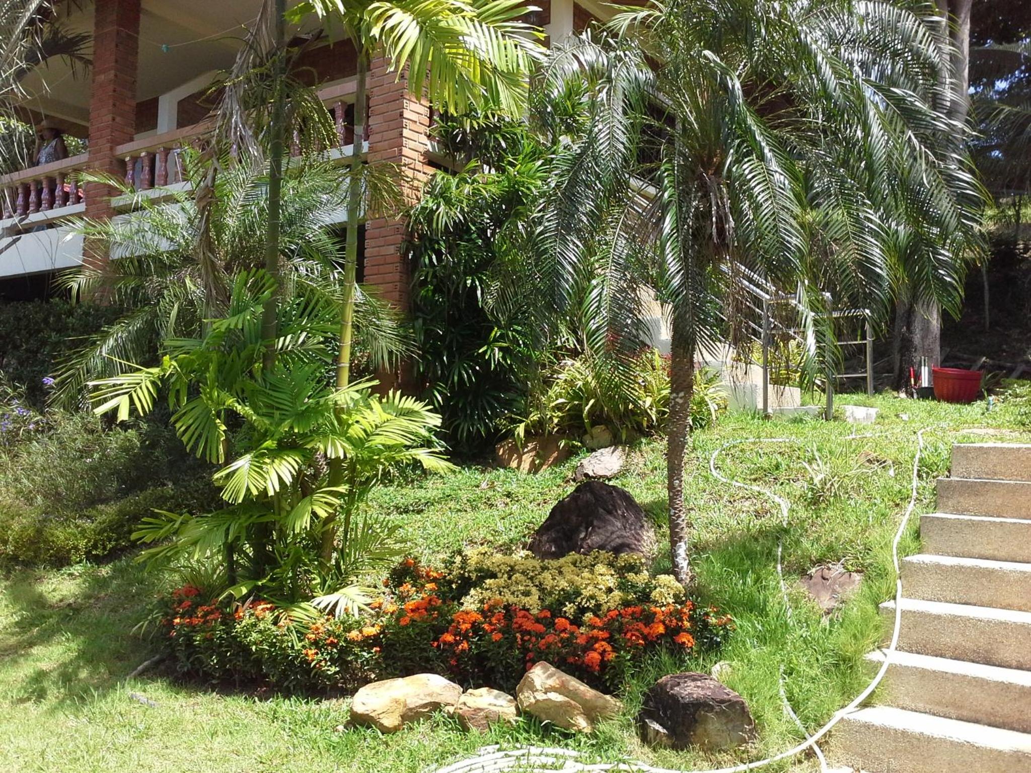 Photo 23