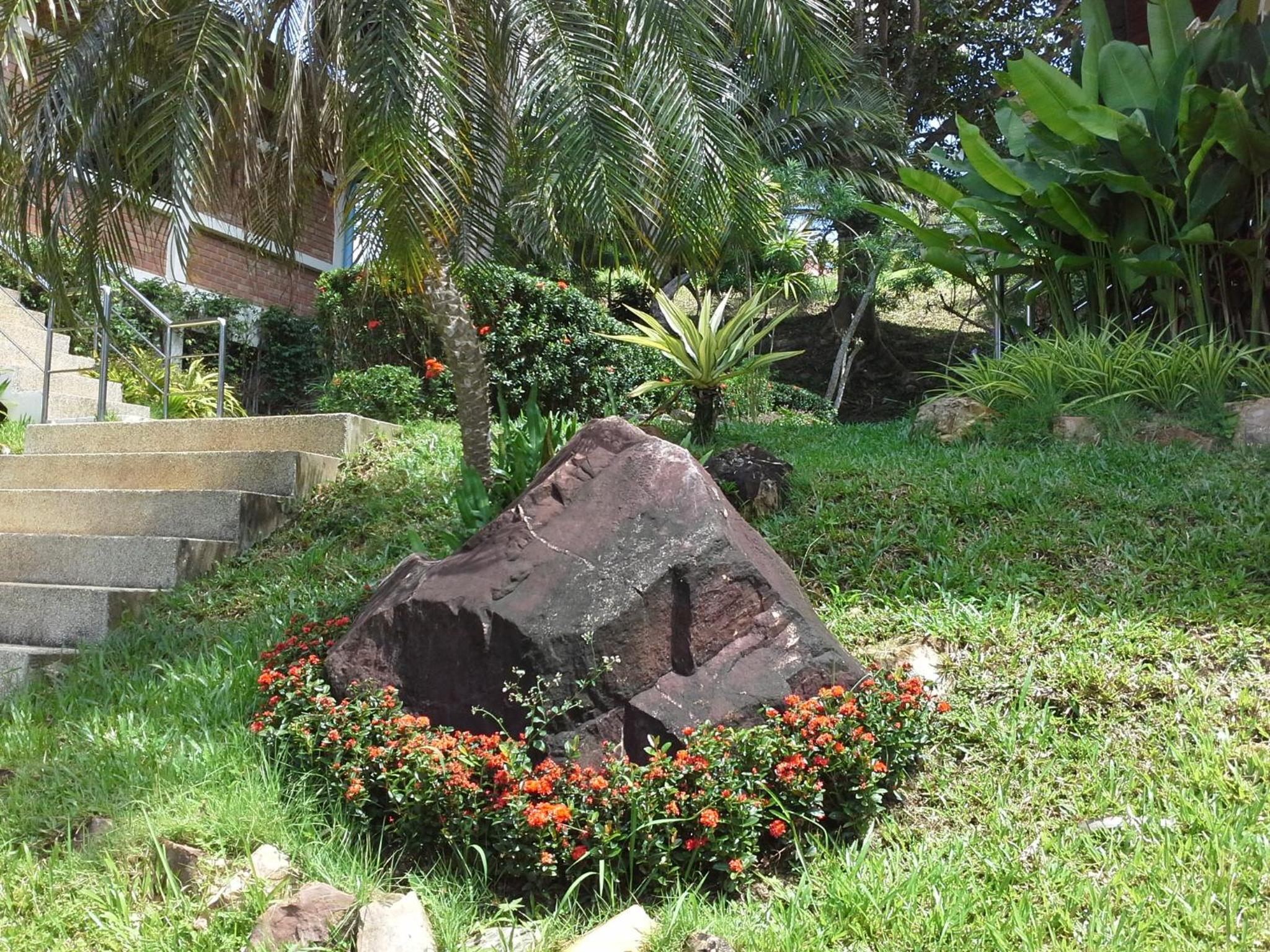 Photo 24