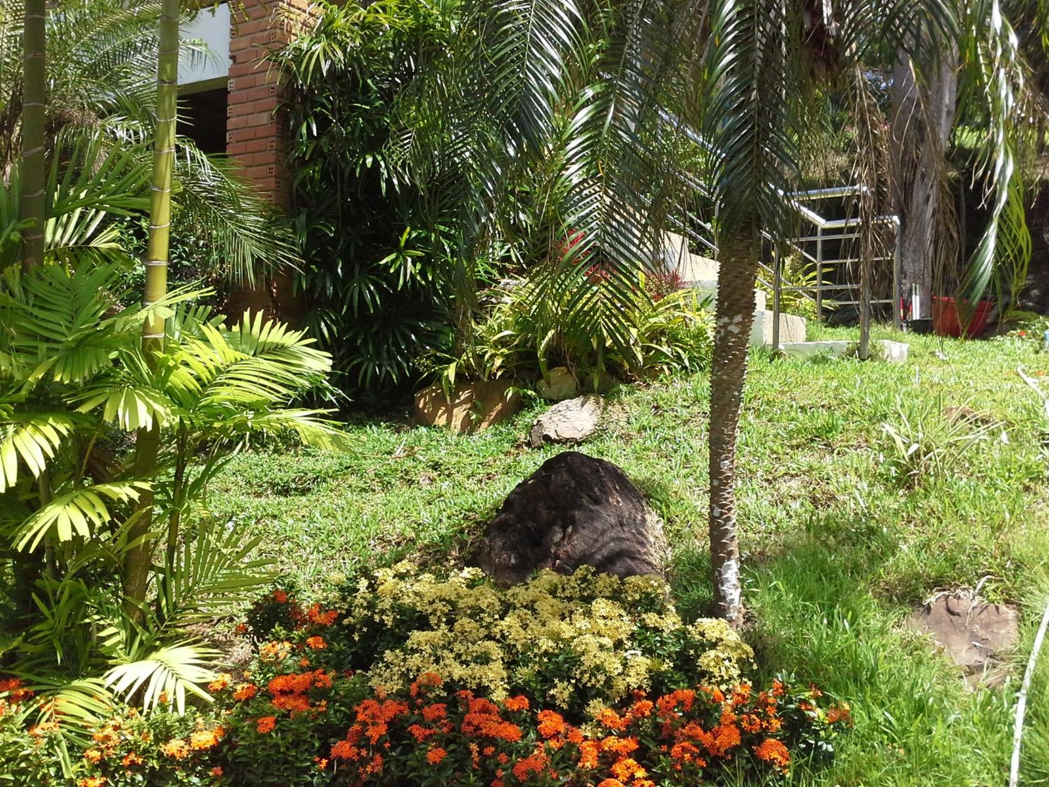 Photo 26