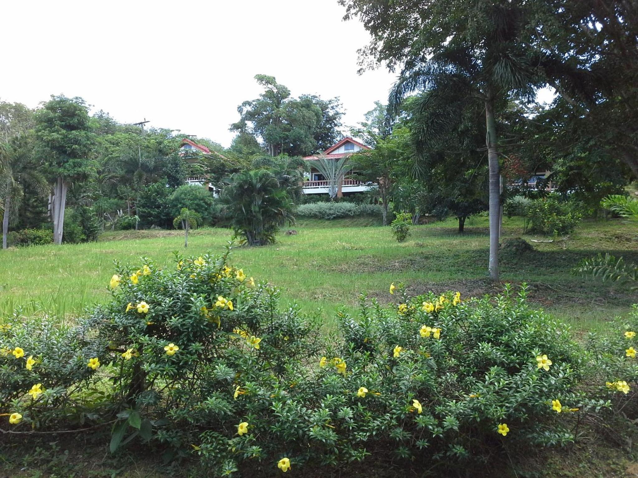Photo 34
