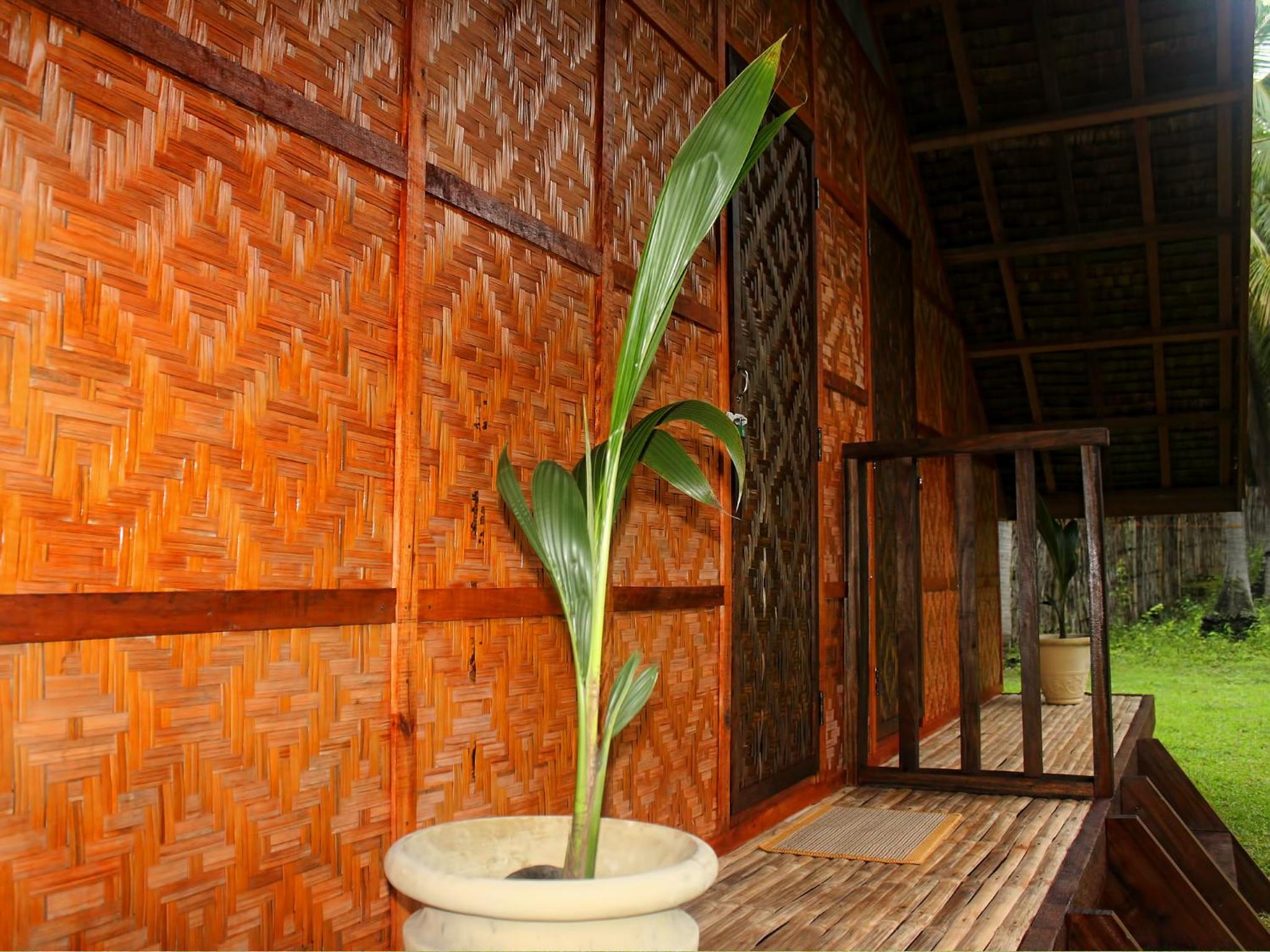 Photo 48