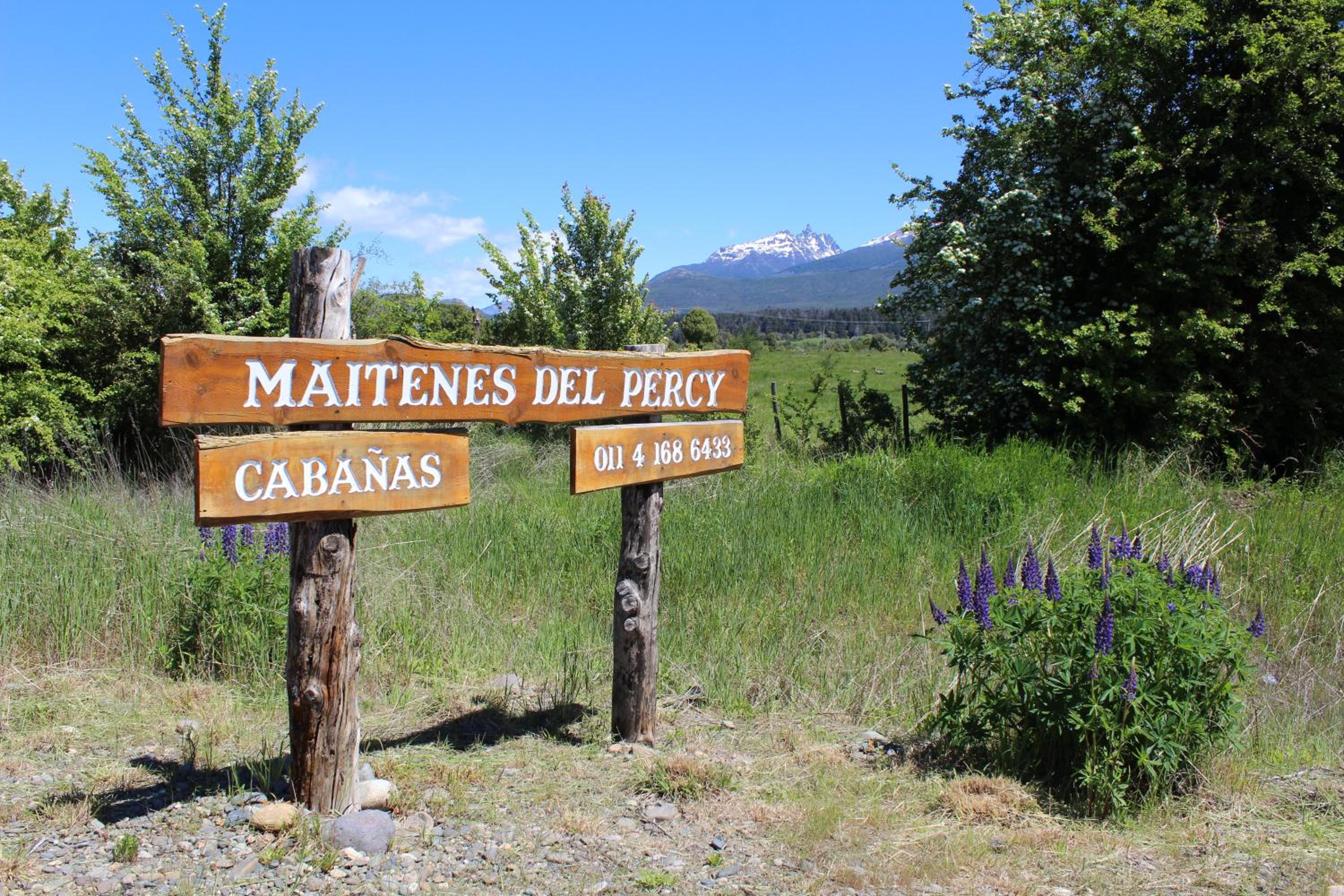 Maitenes Del Percy