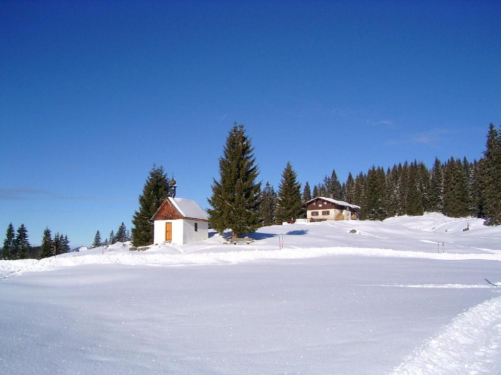 Photo 32