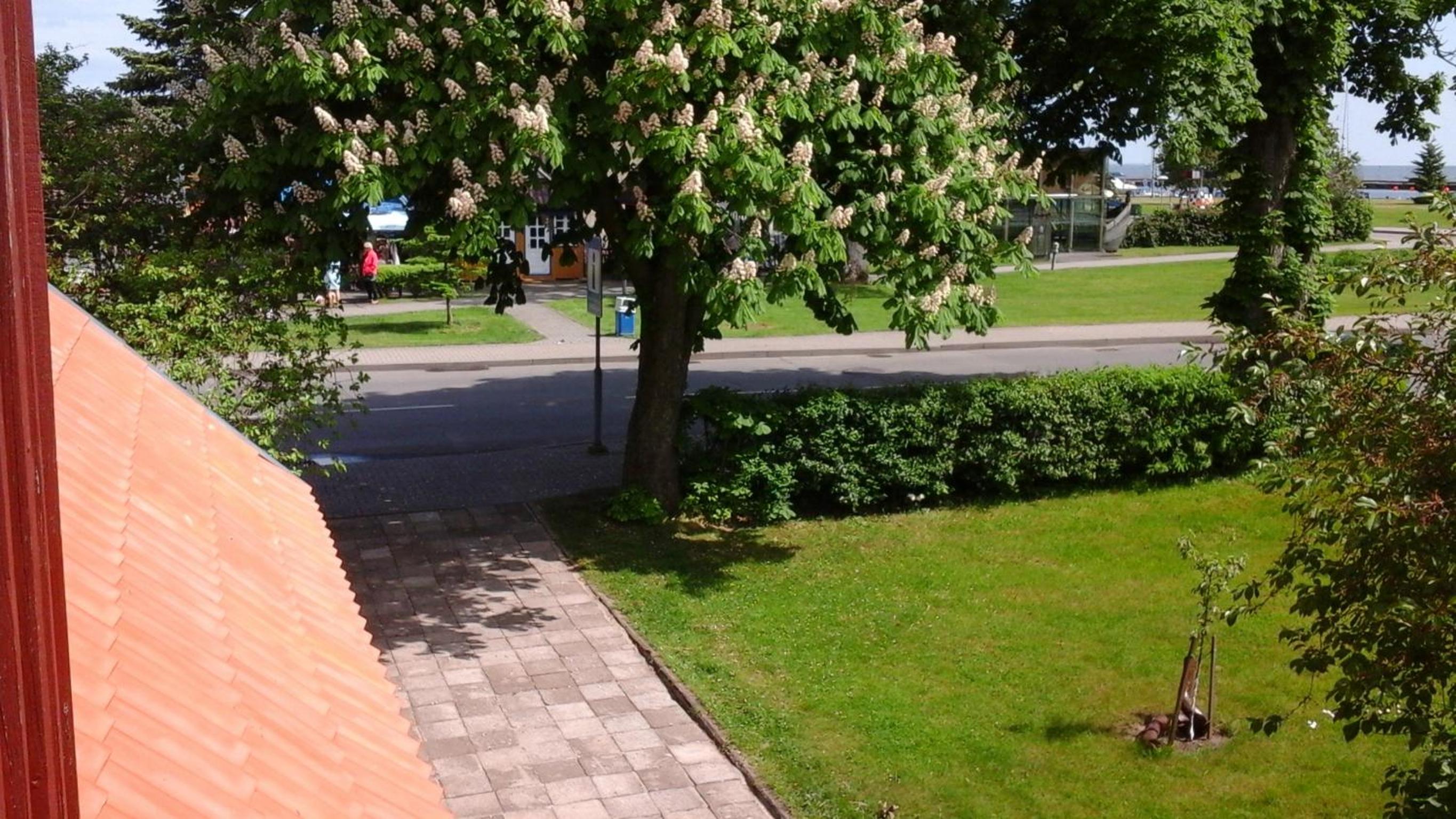 Photo 38
