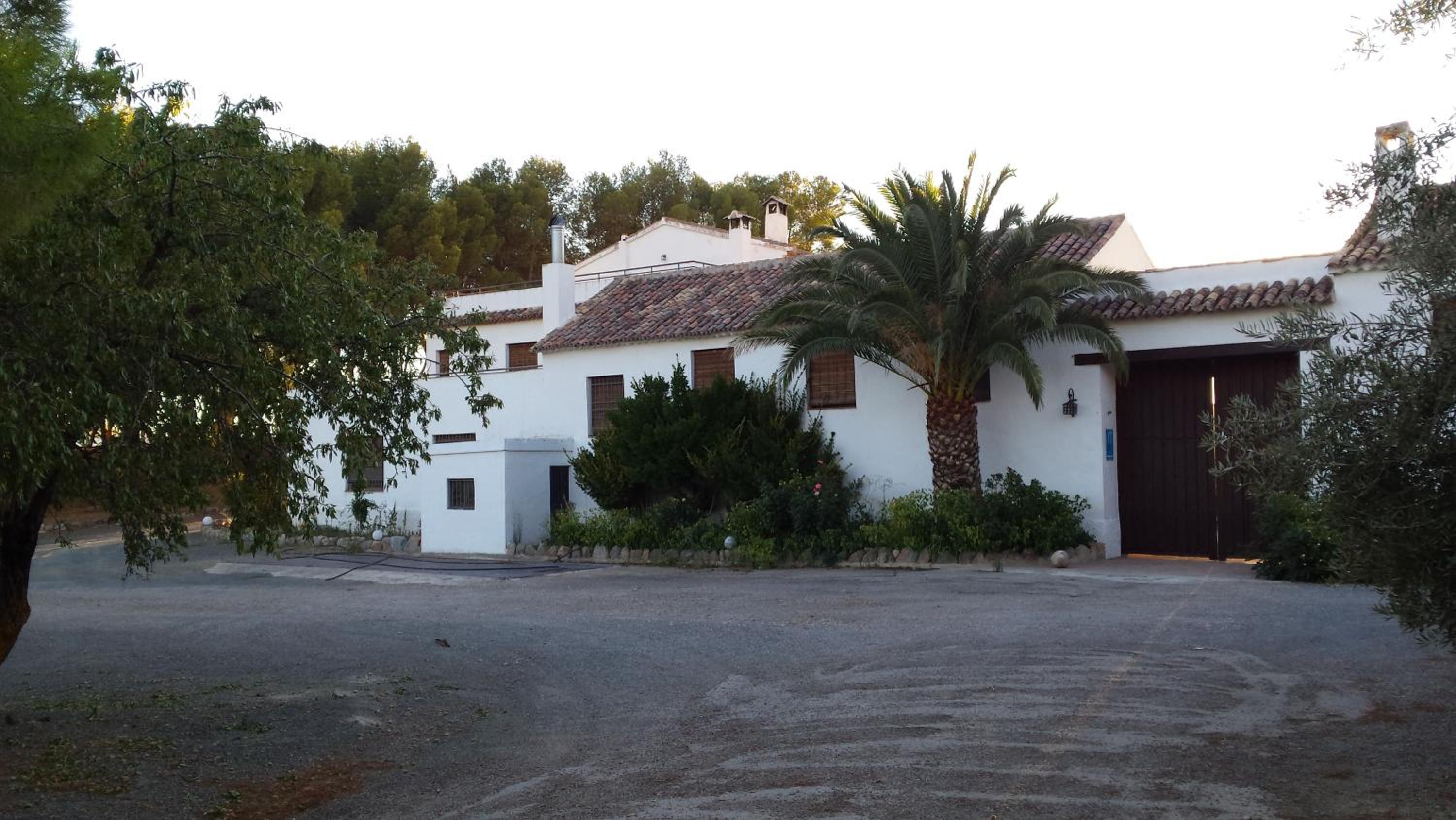 Photo 47