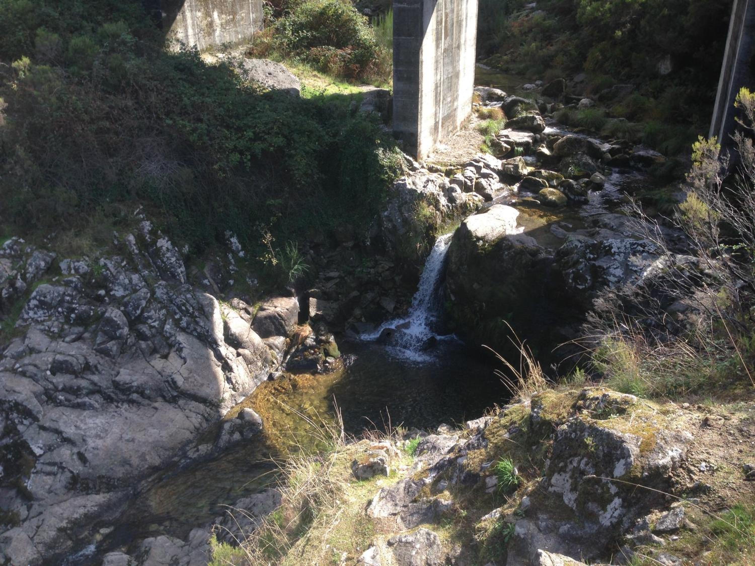 Photo 29